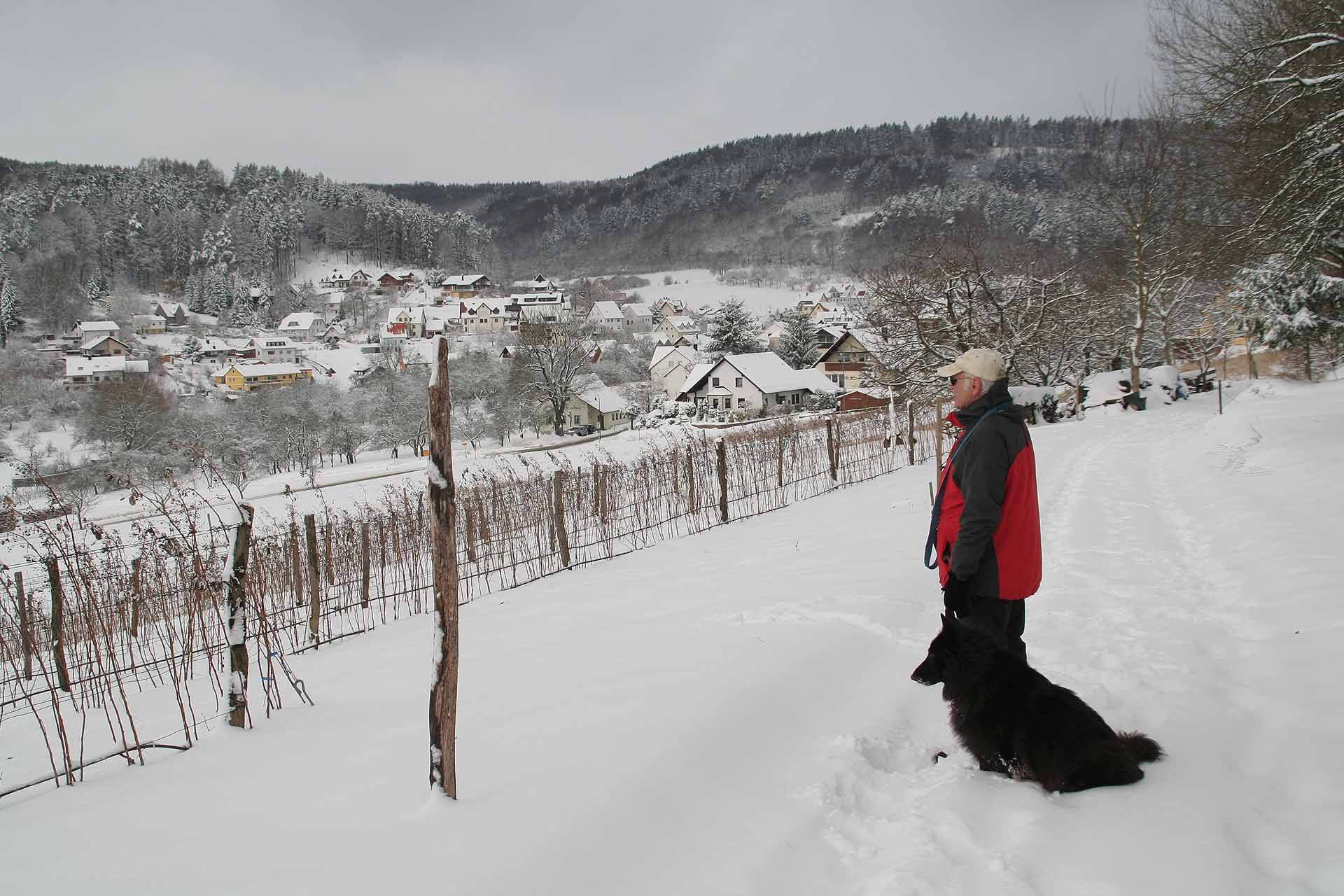 Blick auf Niedermirsberg
