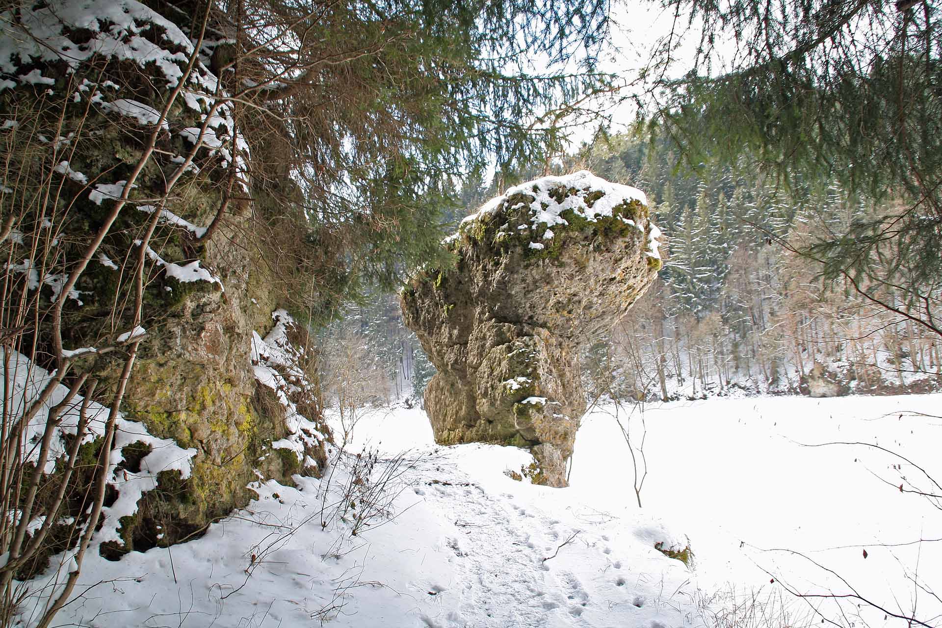 Der Wanderweg im Winter