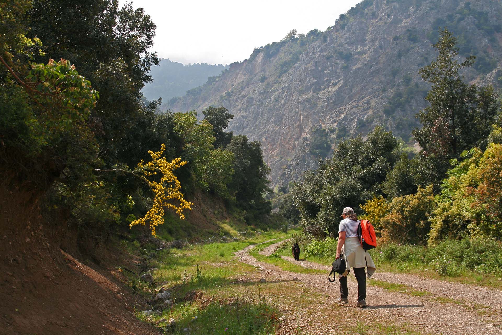 Die Thermopylen - Der Wanderweg in die Schlucht