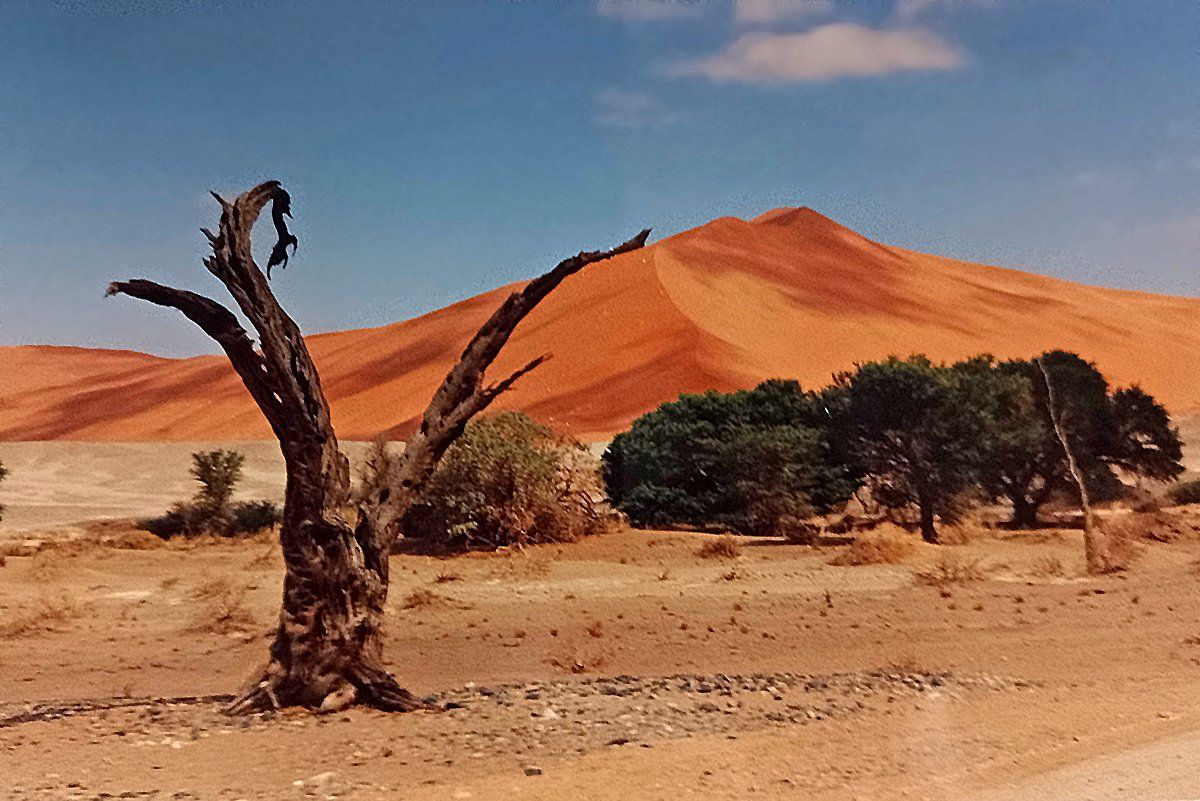 Namibia, Dünen im Sossusvlei