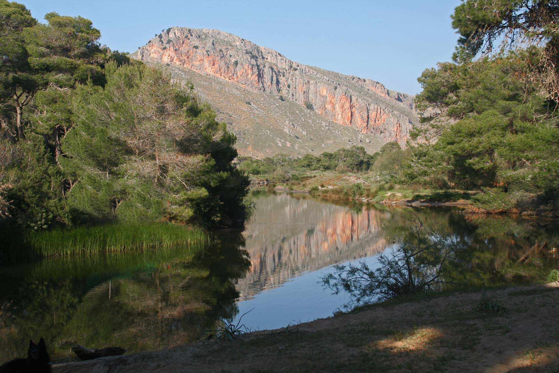 Kalogria - Die weitläufige Umgebung ist ideal für Hundehalter