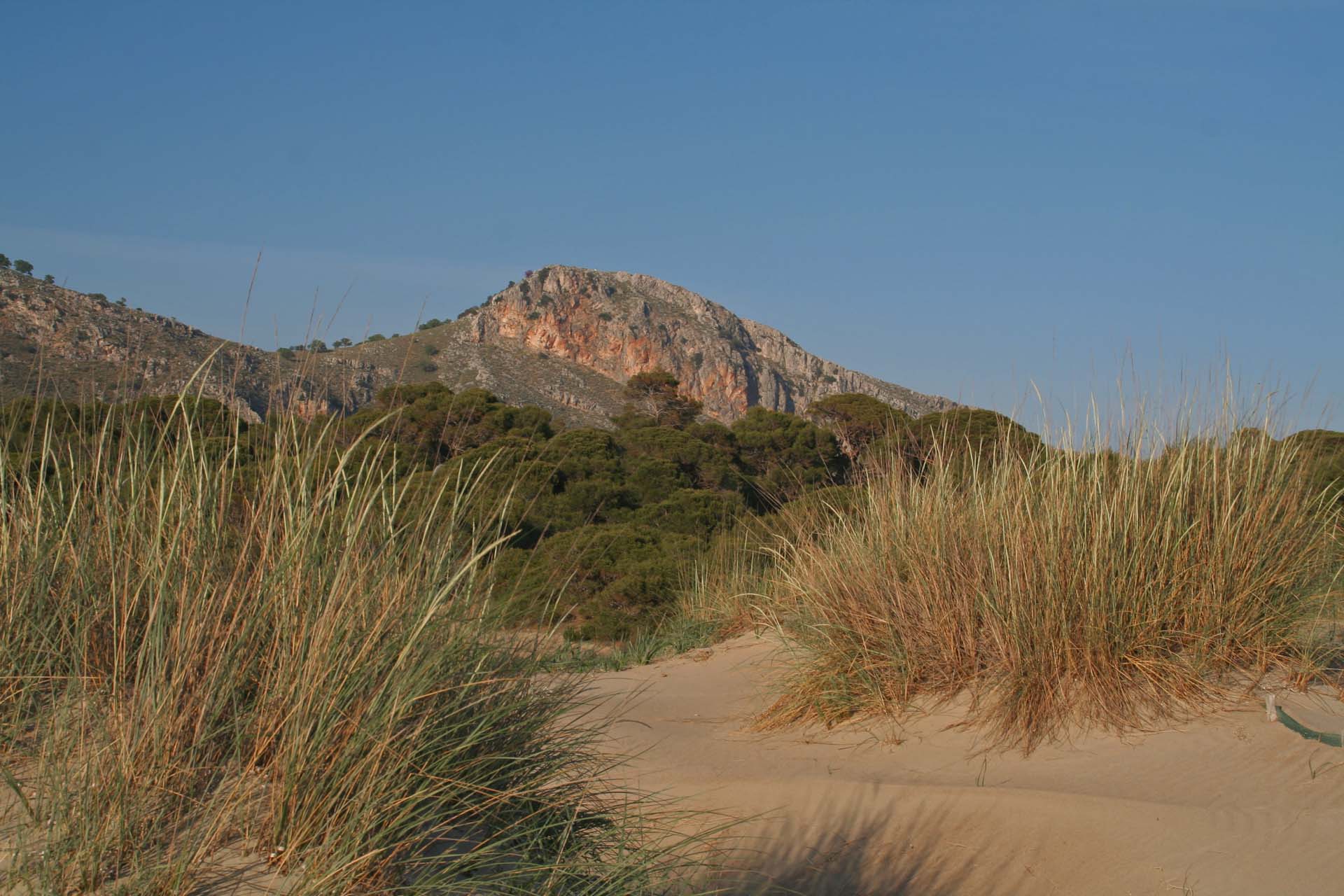 Kalogria - Die weitläufige Umgebung ist ideal für Hundehalter