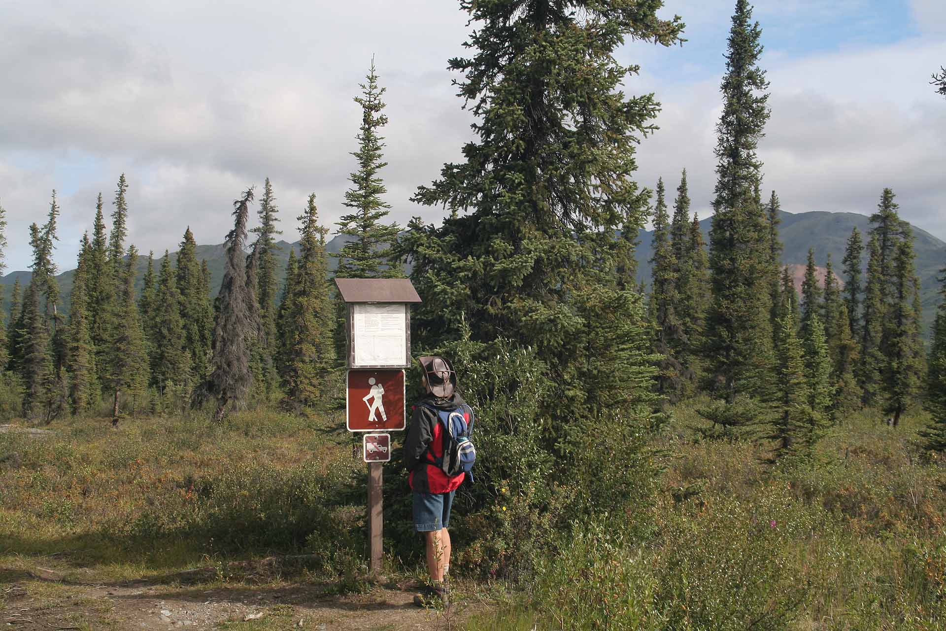 Im Wrangell St. Elias Nationalpark, Alaska - Start zu Caribou Trail