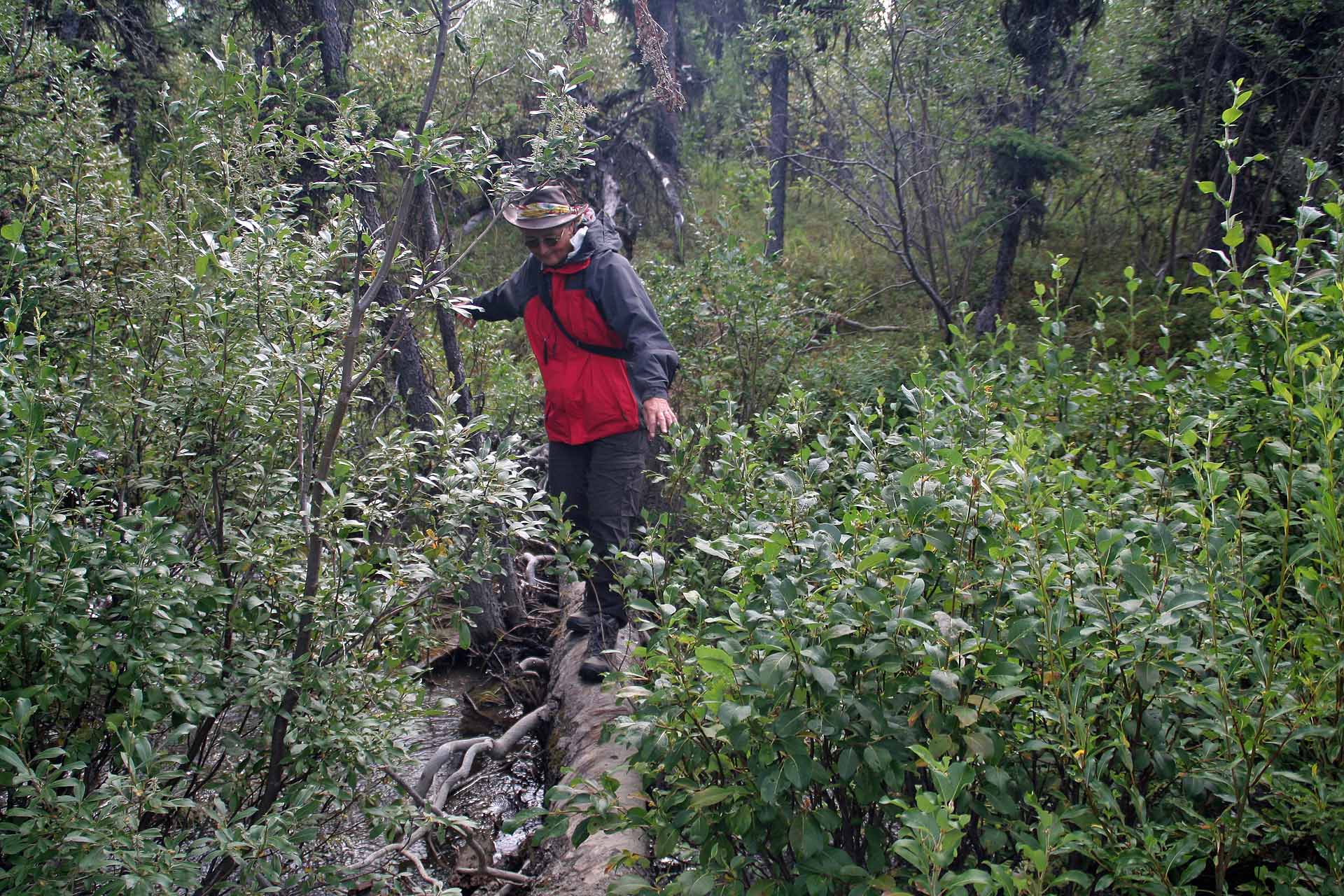 Im Wrangell St. Elias Nationalpark, Alaska
