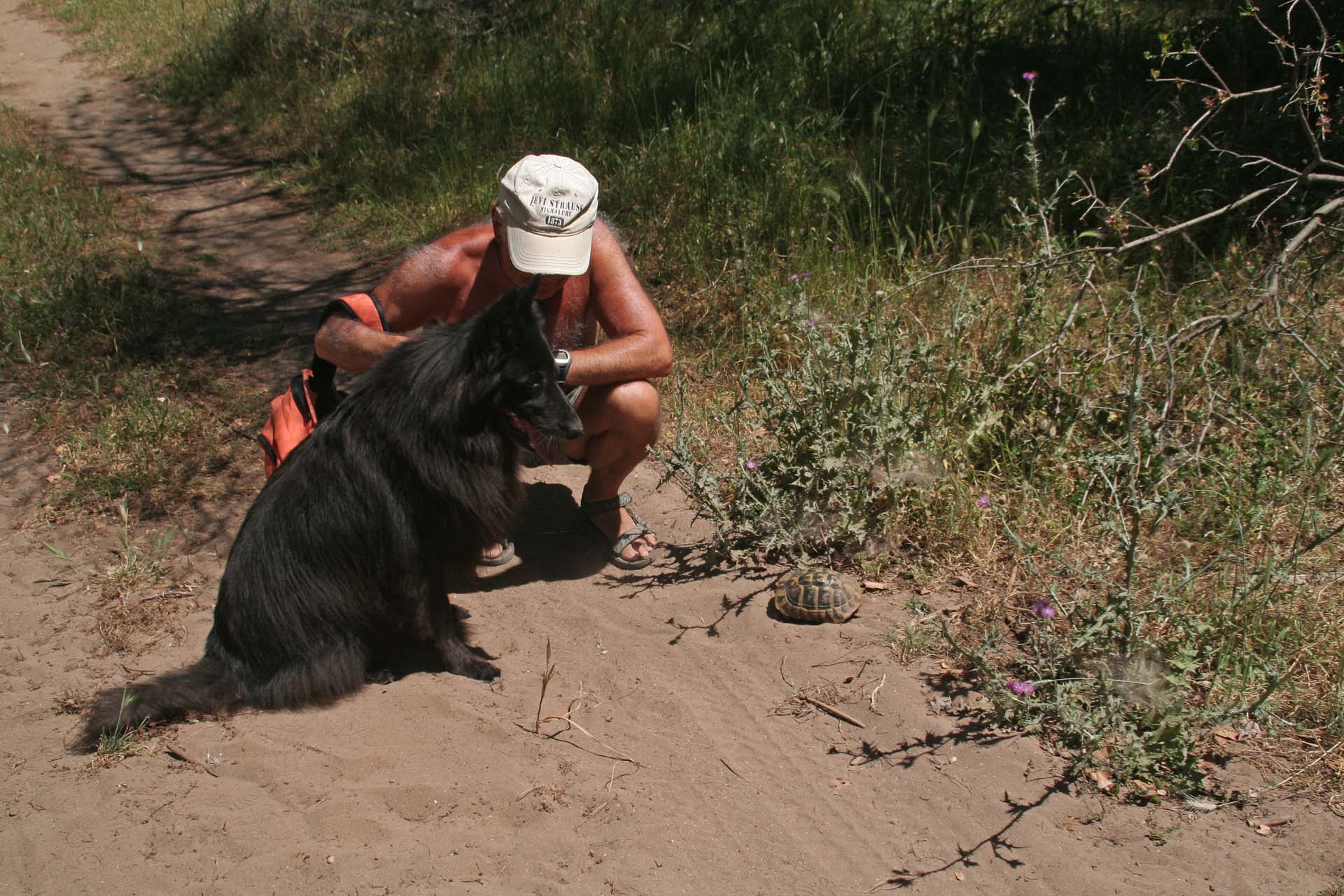 Die Schildkröten haben es ihr angetan