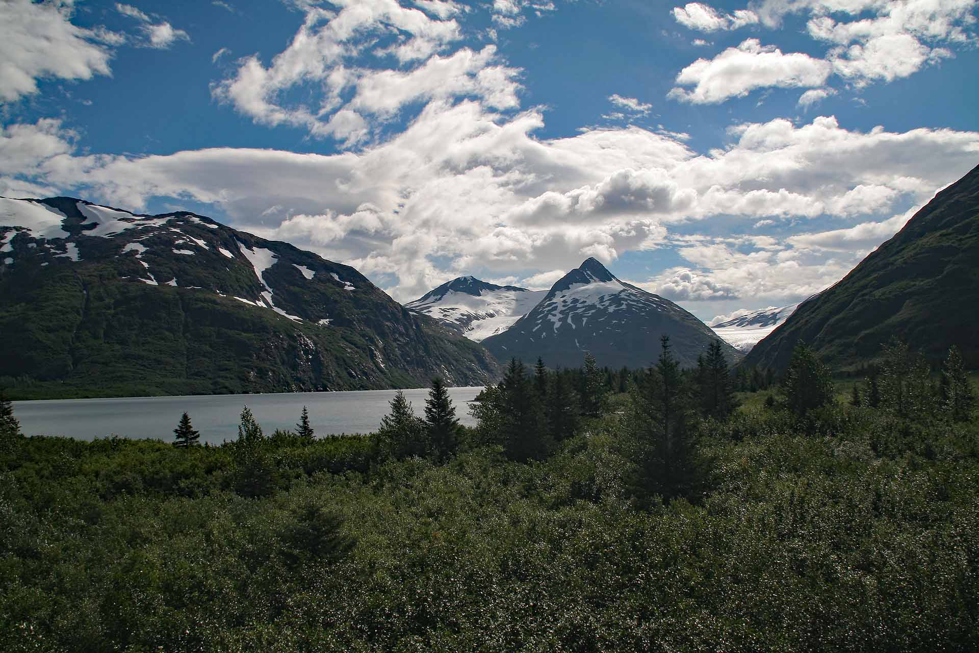 Kenai Halbinsel, Alaska - Am Seward Highway