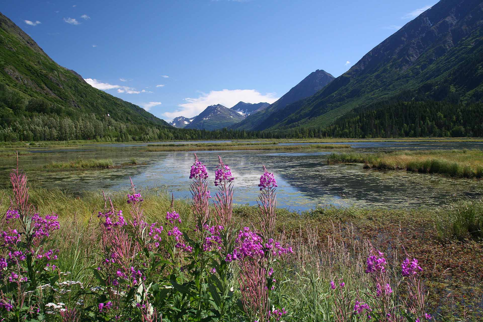 Panorama auf der Kenai Halbinsel, Alaska