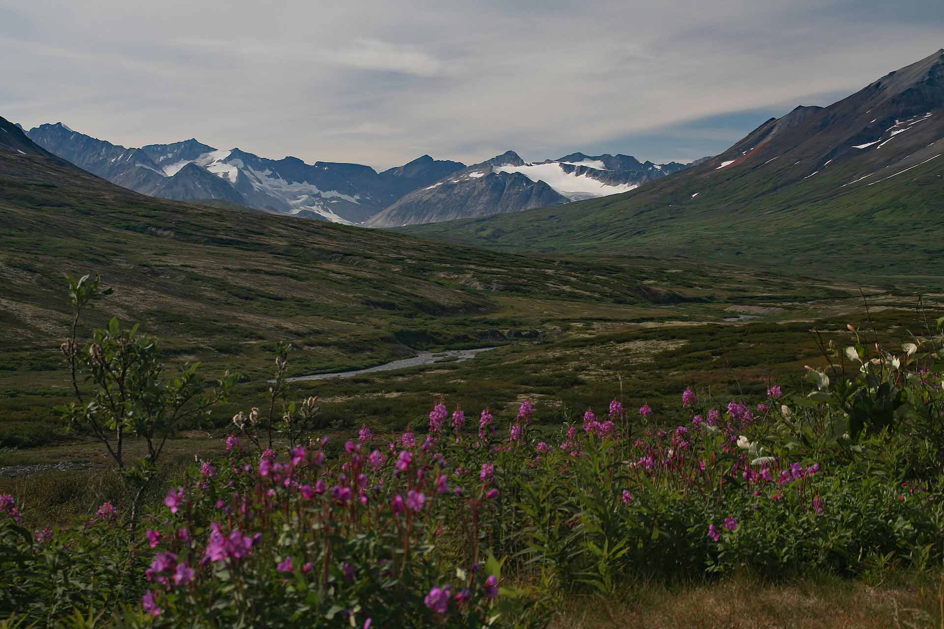 Panorama am Haines Highway, Alaska