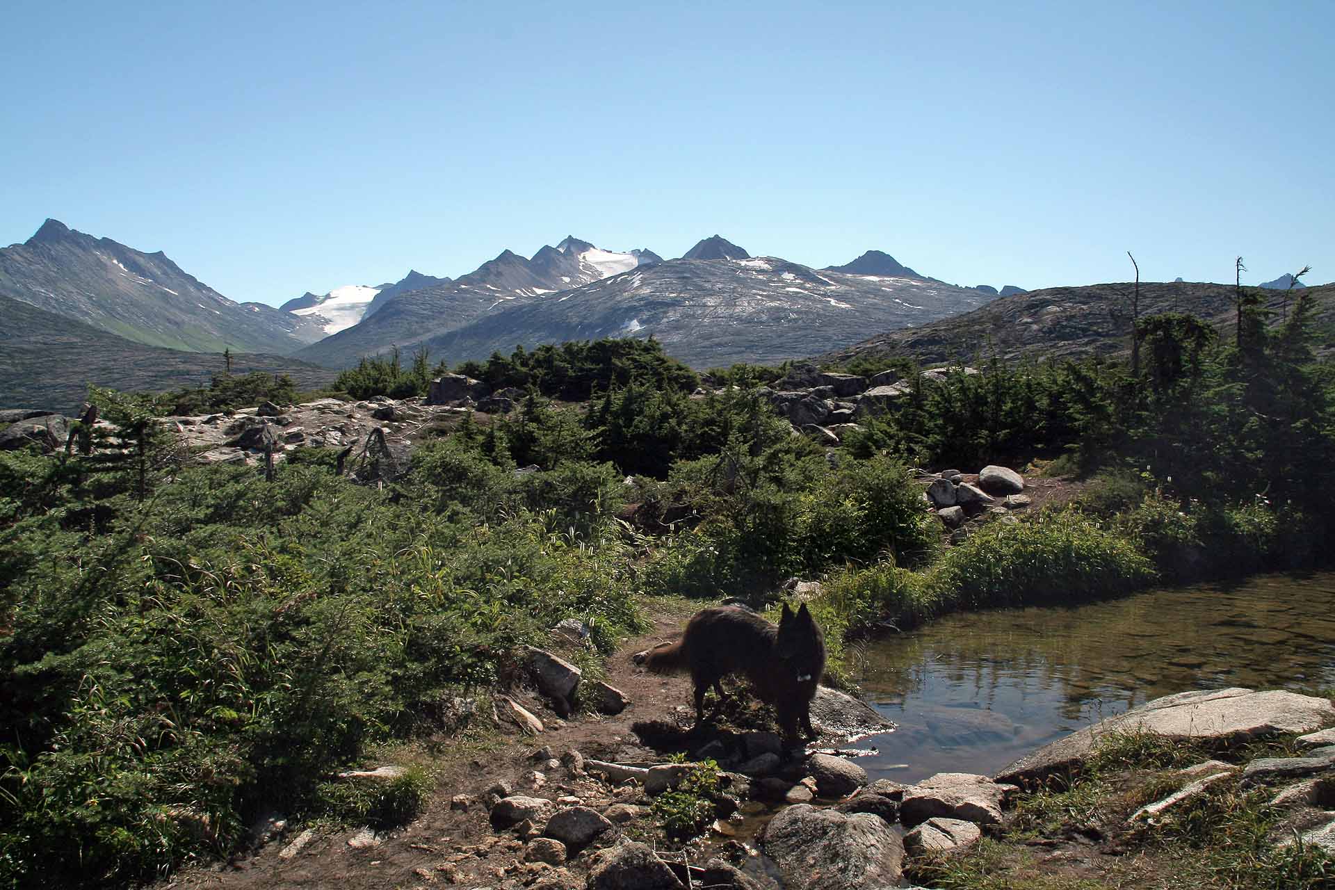 Panorama am Klondike Highway Süd, Yukon Territorium