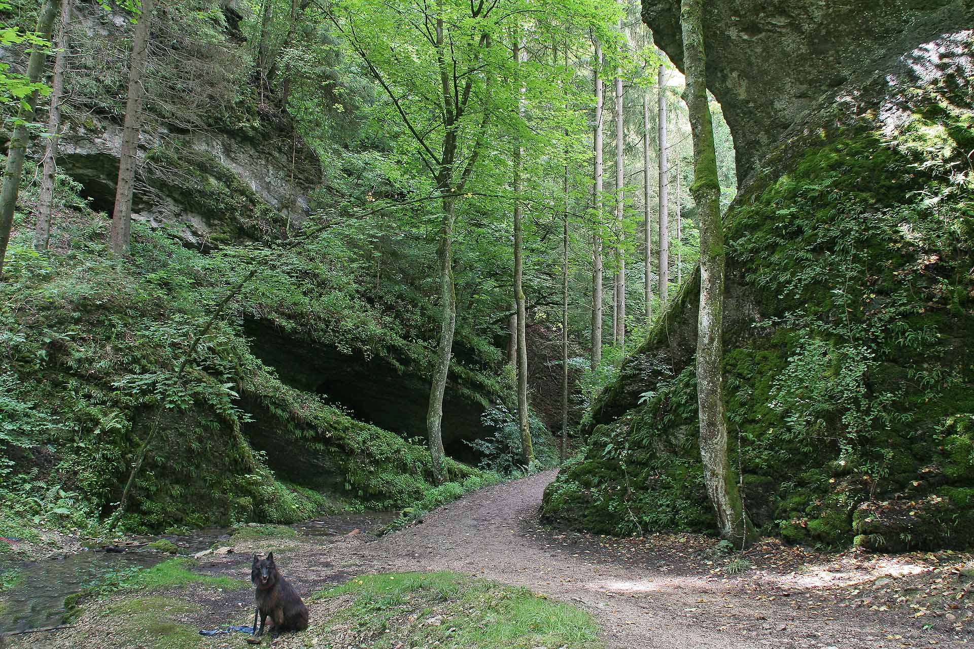 Im Leidingshofer Tal