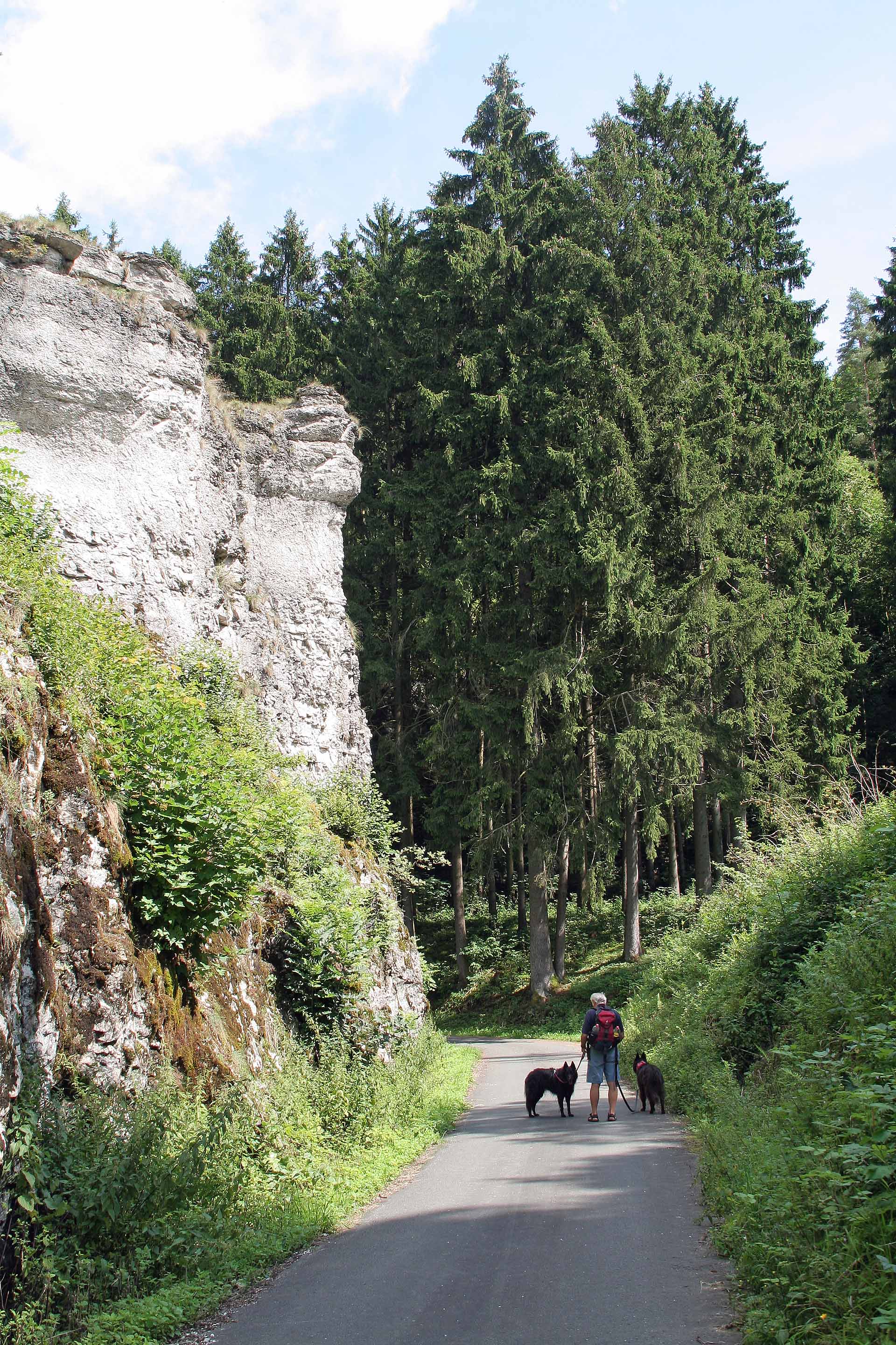 Im Leidingshofer Tal