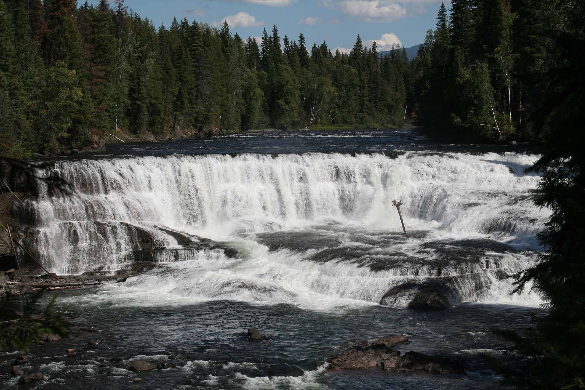 Wells Grey Provincial Park, BC - Die Dawson Falls