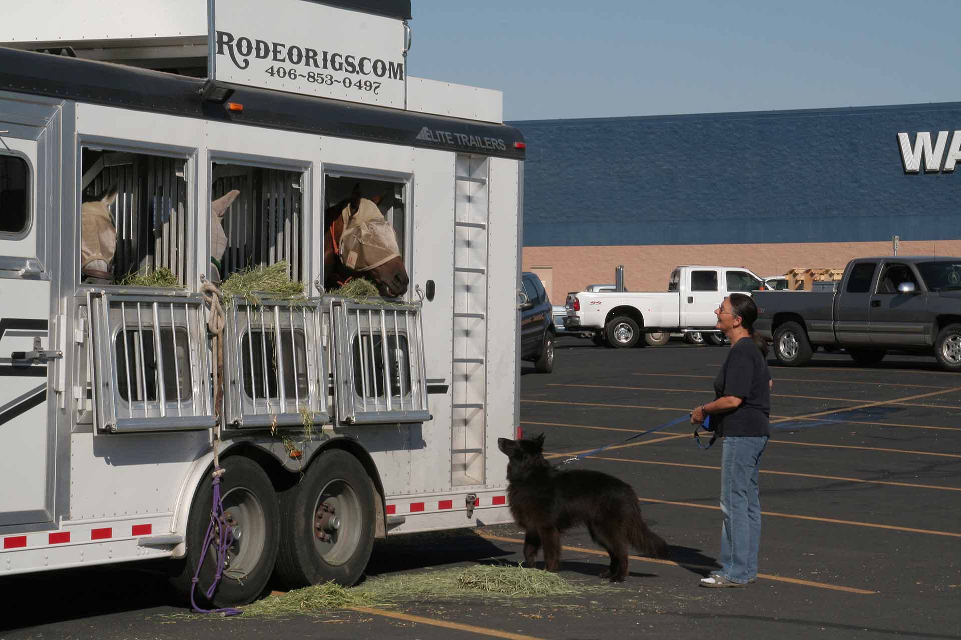 Rodeo in Pendleton, Oregon - Auch unser Hund findet dieses Wal-Mart Camping Interessant