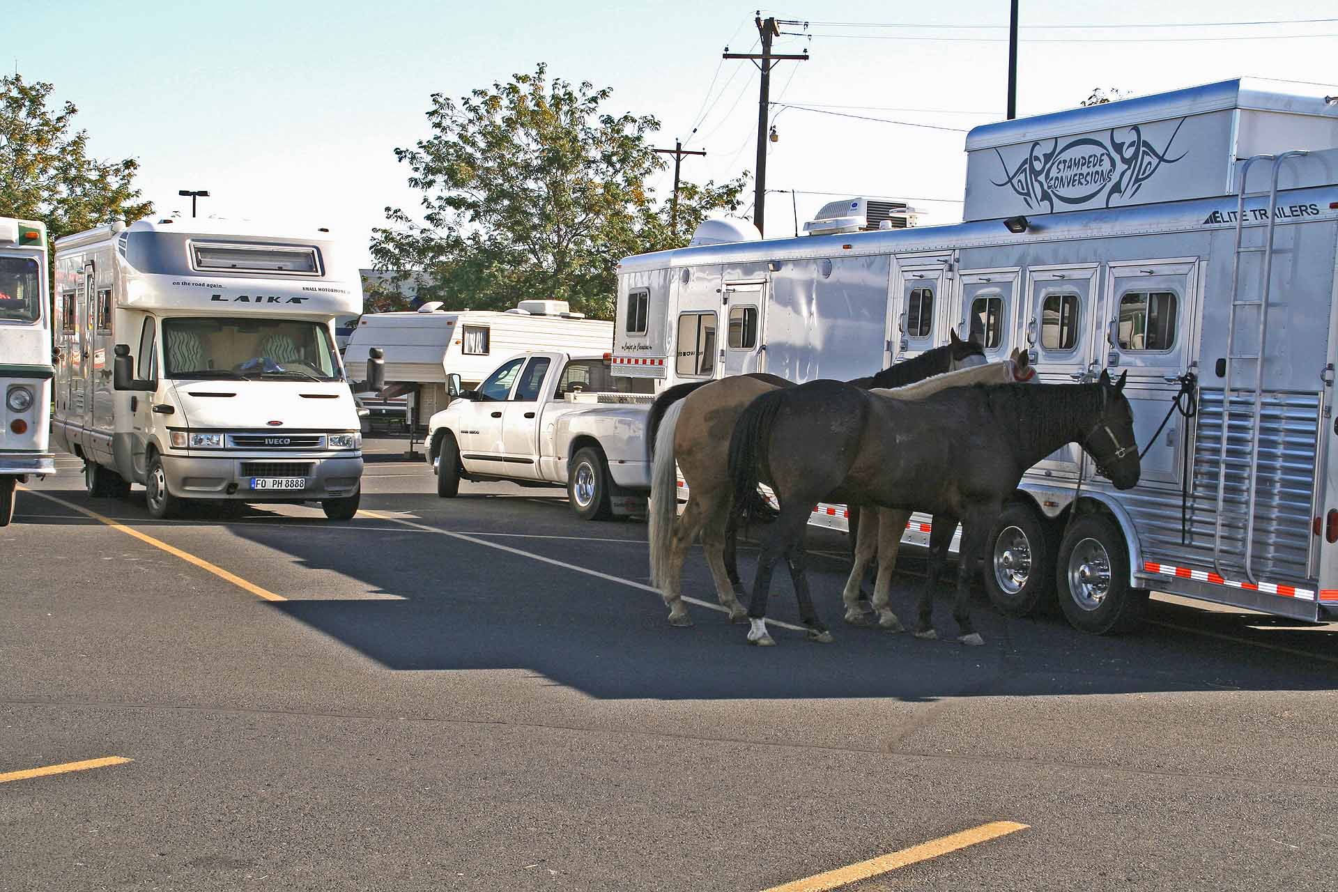 Rodeo in Pendleton, Oregon - In unserem Wohnmobil riecht's nach Pferdestall
