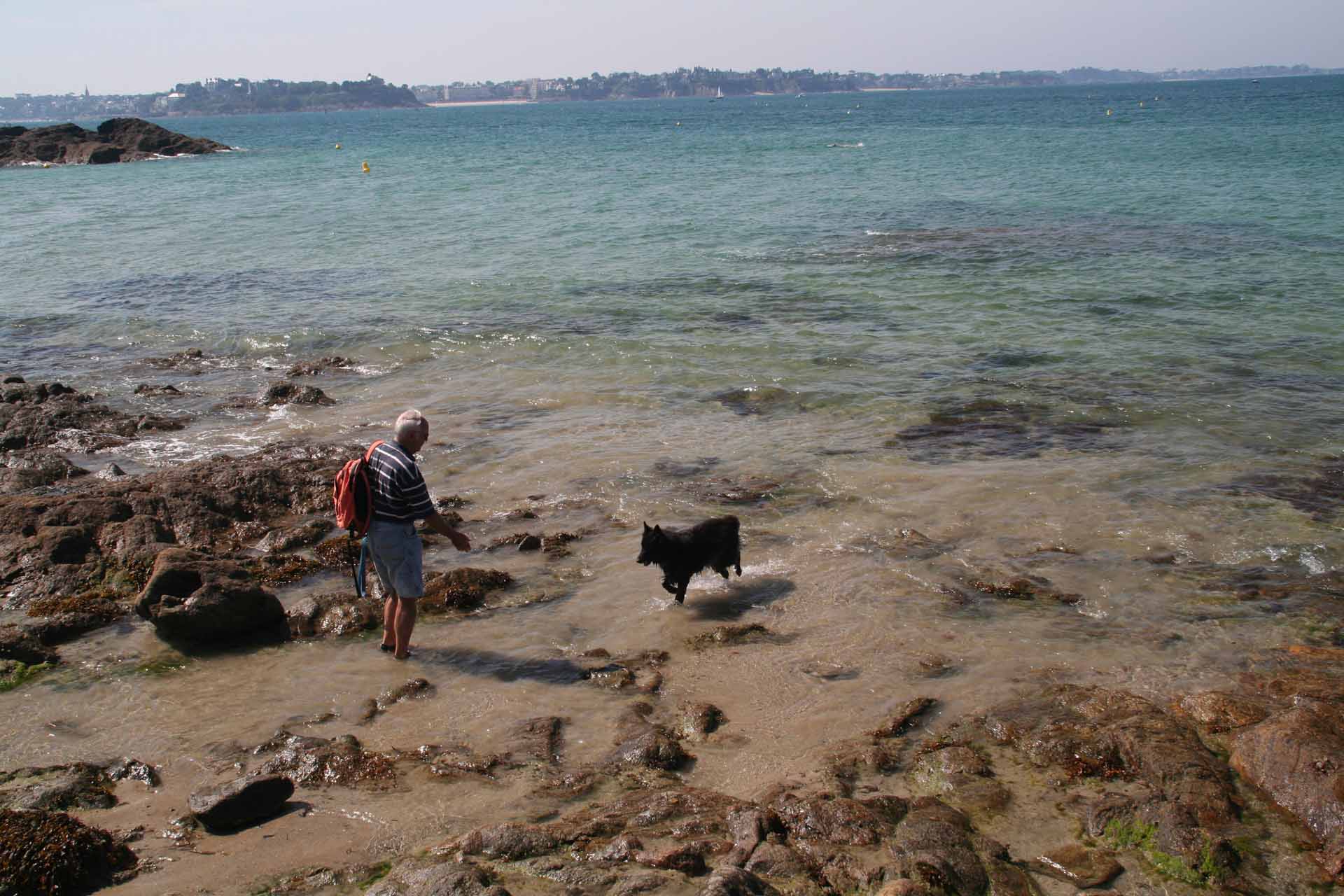 Nach dem Rundgang braucht unser Hund eine Abkühlung