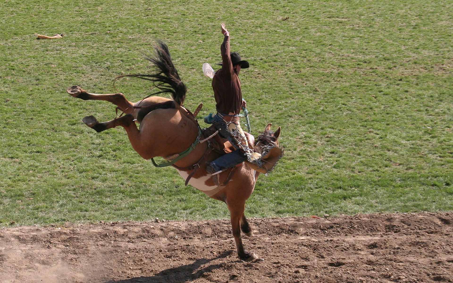 Rodeo in Pendleton, Oregon