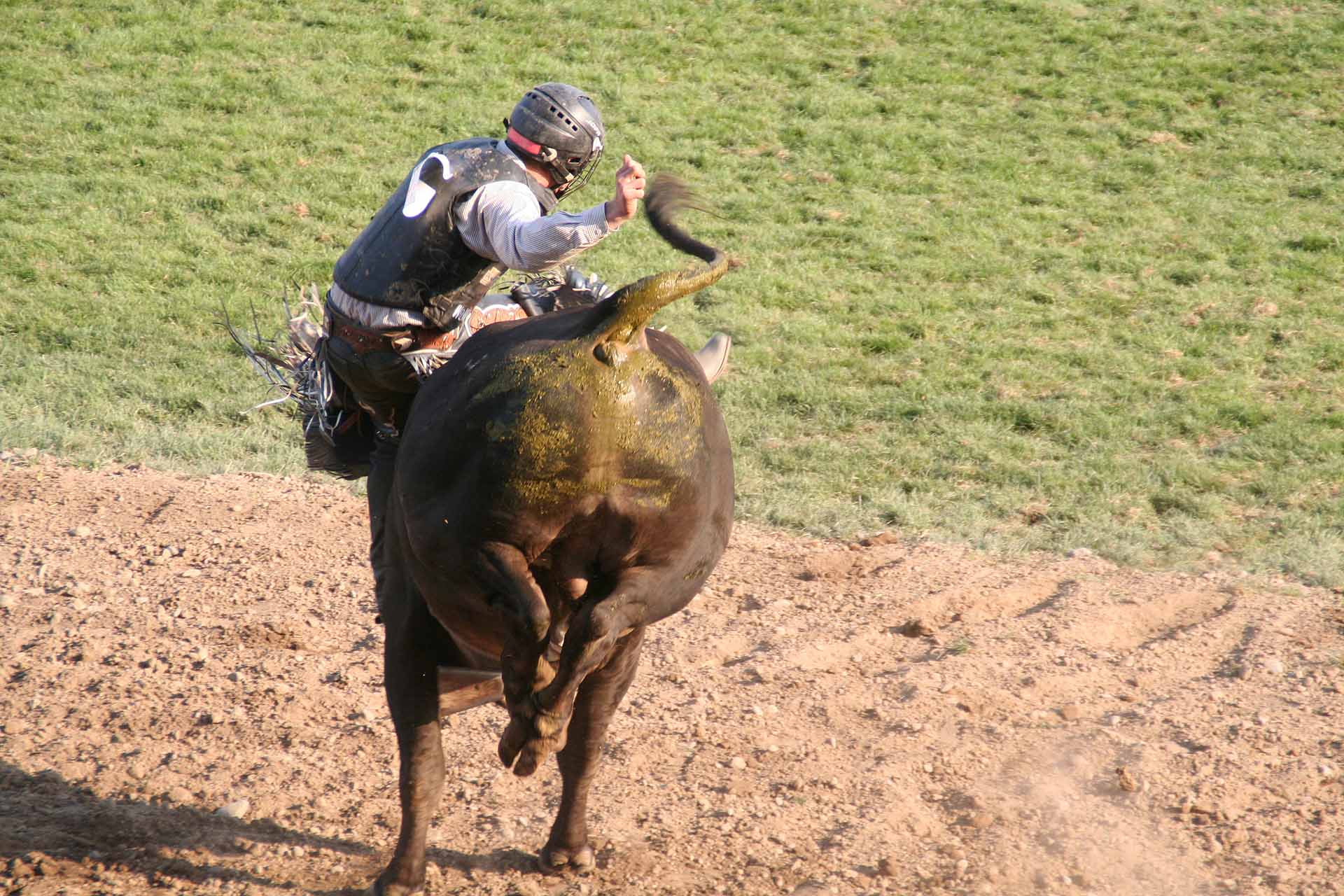Rodeo in Pendleton, Oregon - Der Reiter muss 7 Sekunden