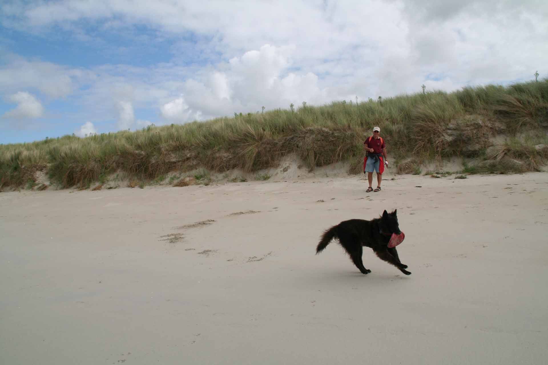 Kéremmer - Der Strand ist ein Hundeparadies