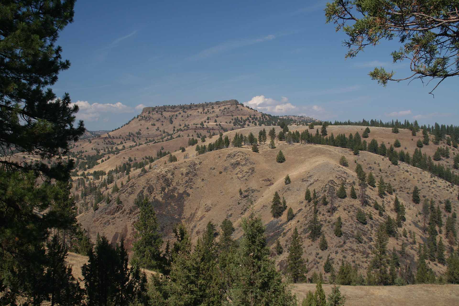Am Highway 395 in Oregon