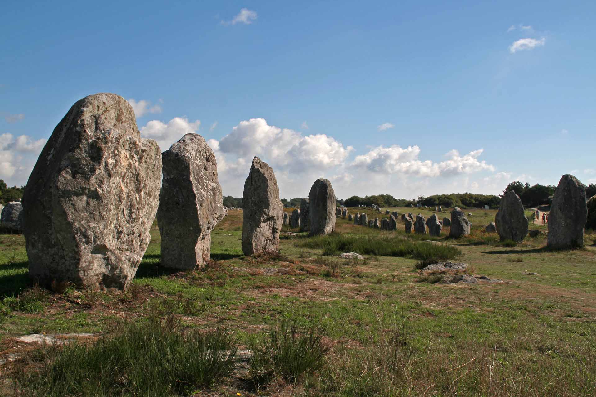 Die Steinreihen von Carnac