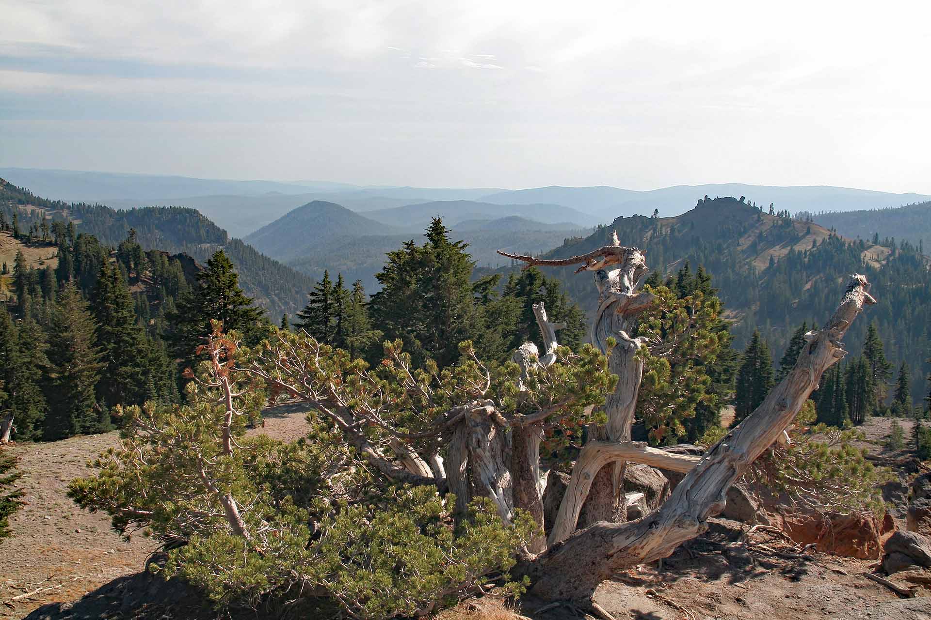 Panorama im Lassen Volcanic Nationalpark, Kalifornien