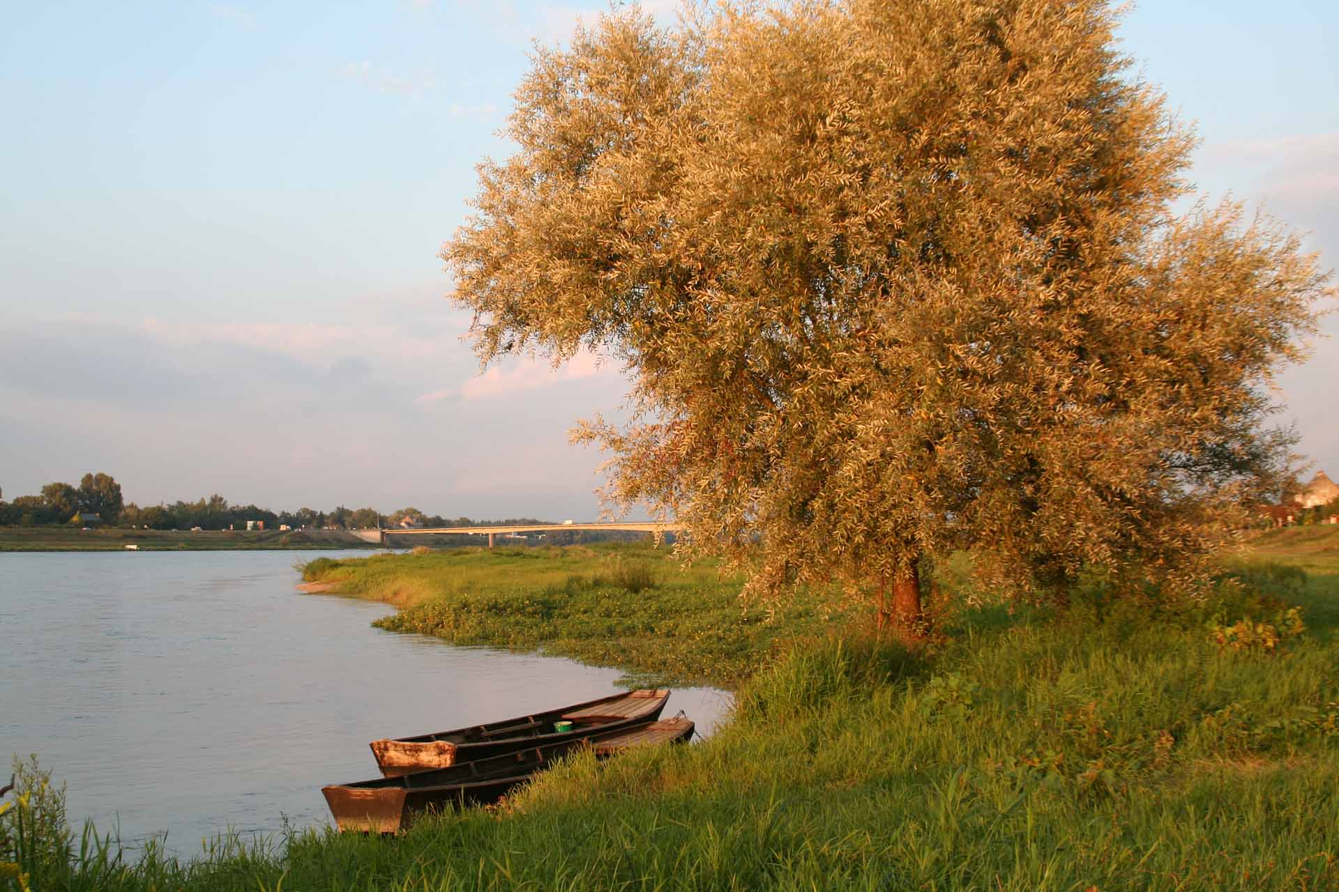 Abendstimmung an der Loire