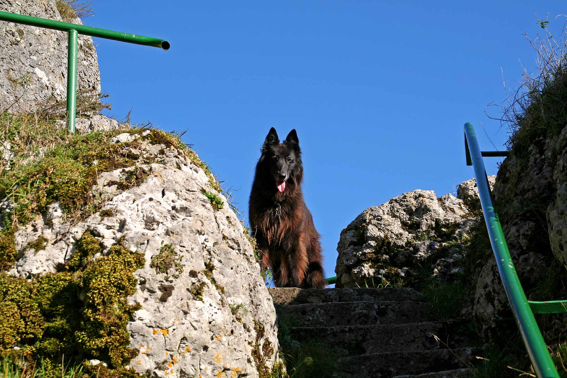 Der Wichsensteiner Fels - Ein berühmter Aussichtspunkt
