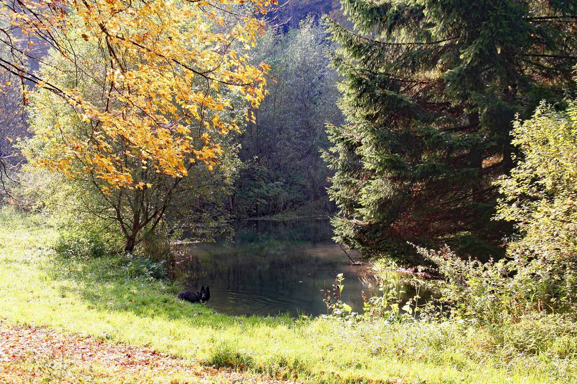 An der Aufseß bei Draisendorf