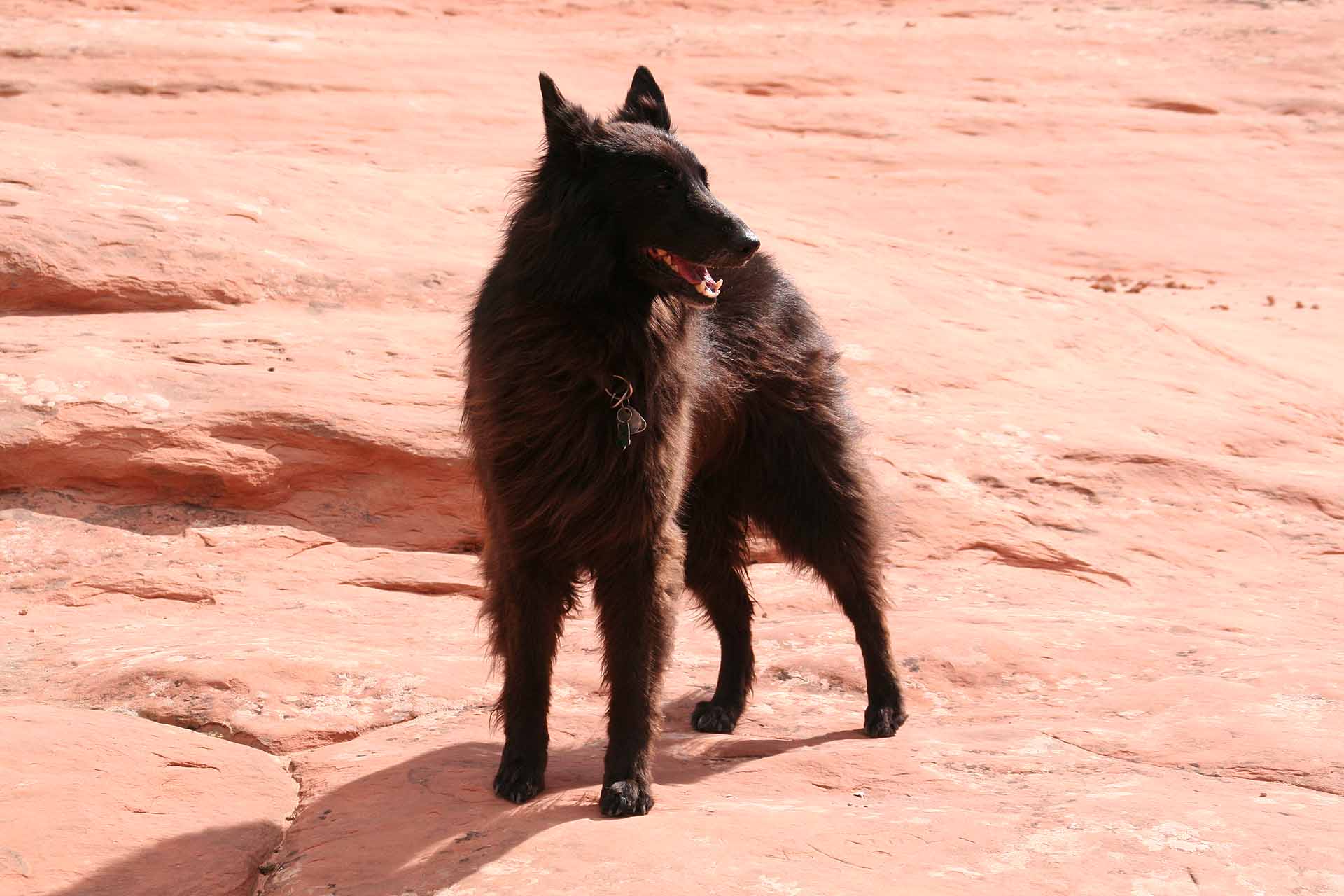 Utah - Auch außerhalb der Nationalparks sind die Felsen rosarot.