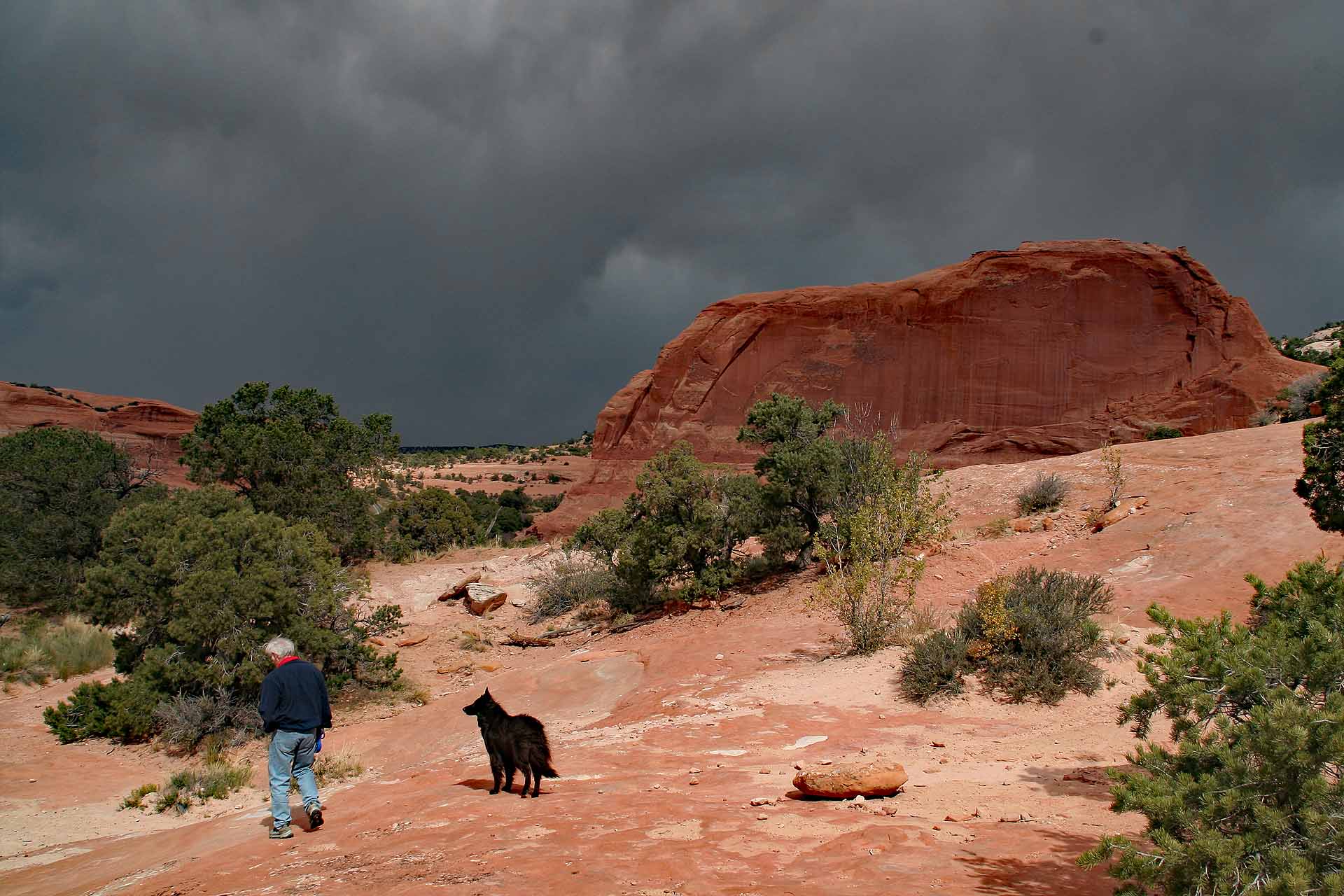 Utah - Unser Hund kann sich hier ungestört austoben.
