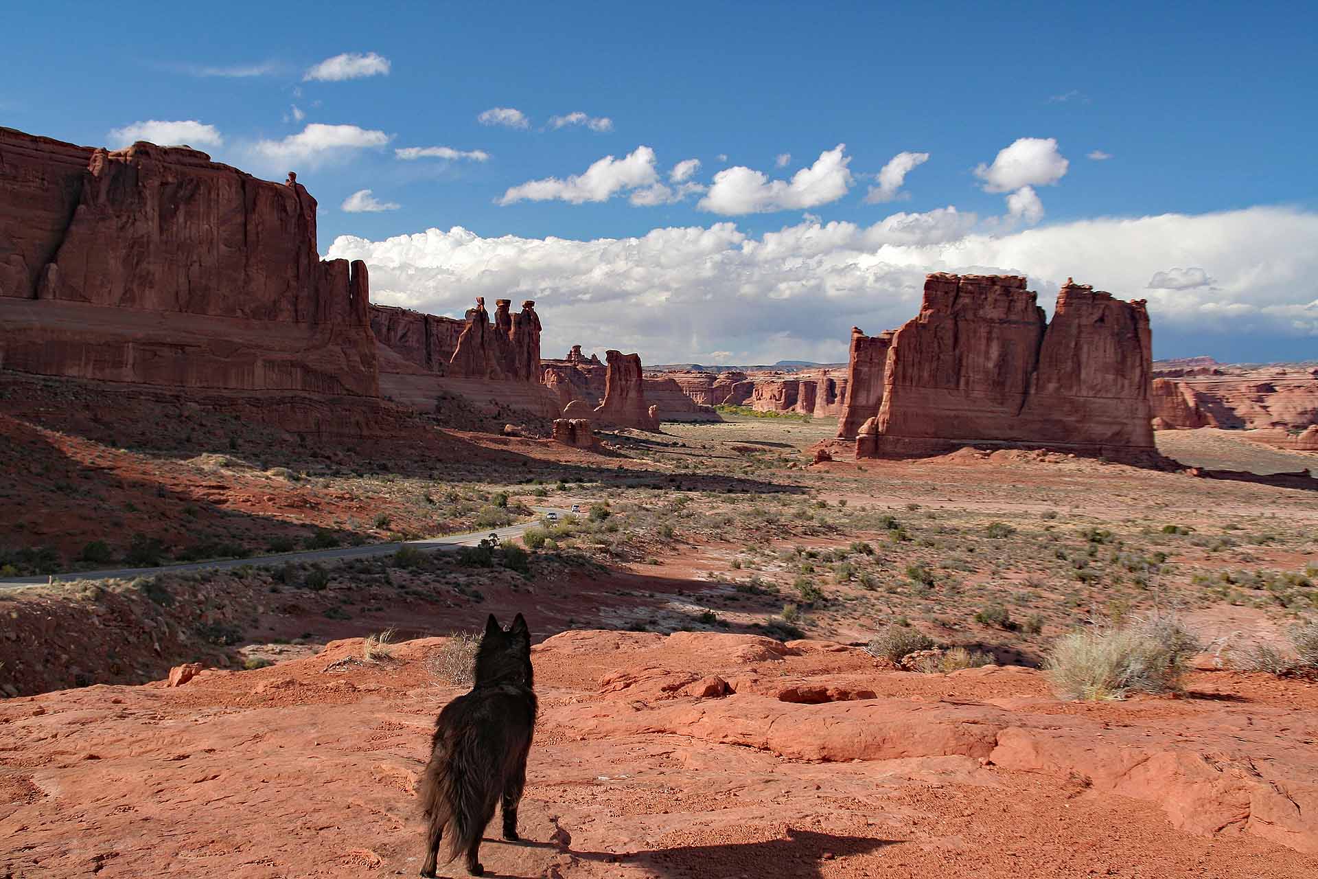 Arches Nationalpark, Utah - sogar unseren Hund faszinieren die farbenfrohen Felsformationen.