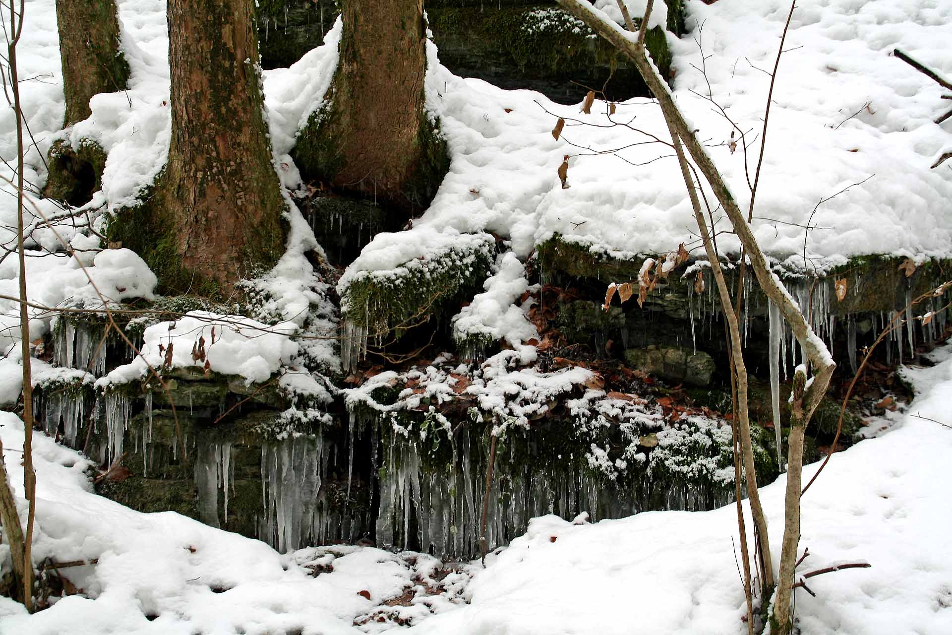 Am Weißen Bach bei Wannbach