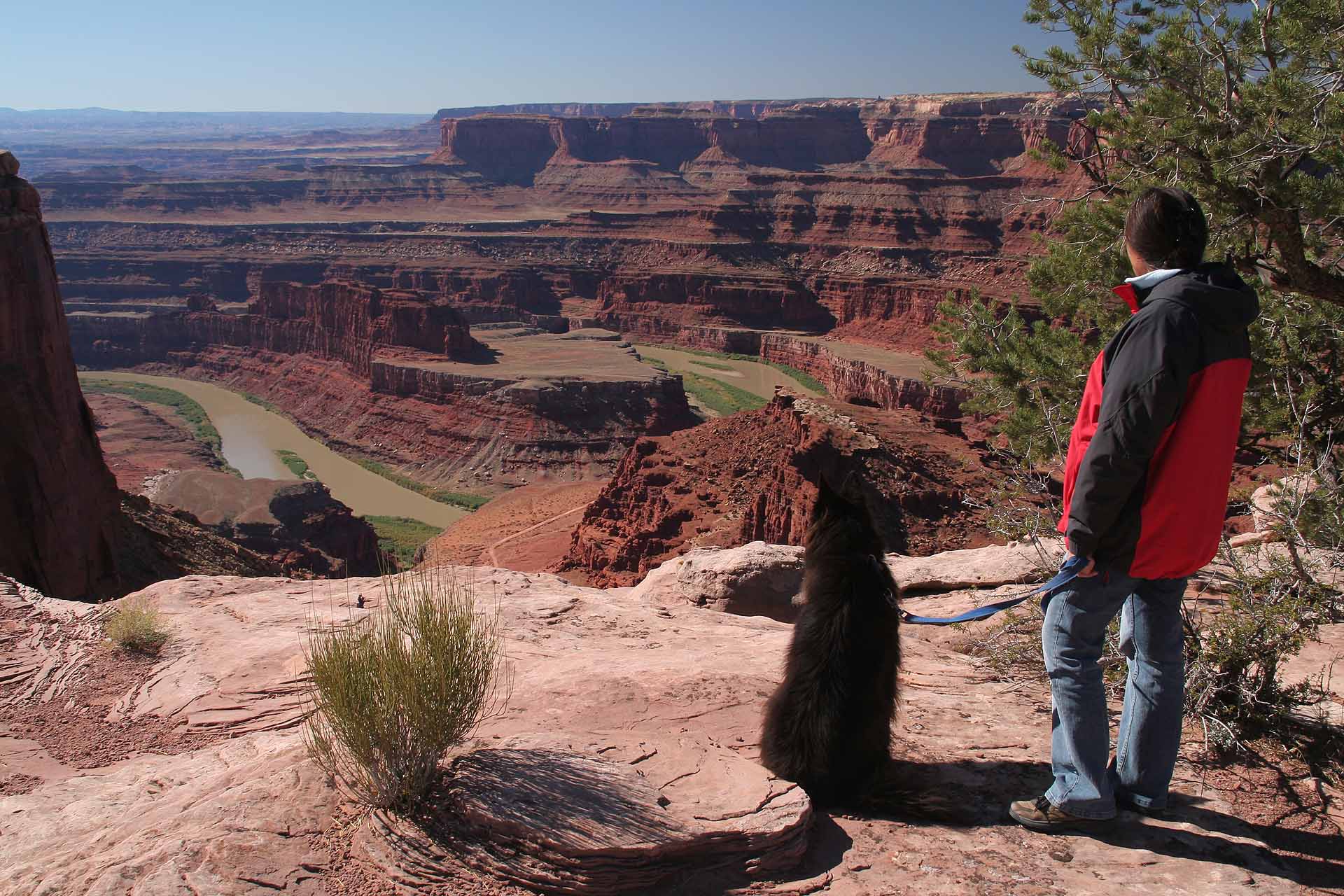 Utah - Am Dead Horse Point