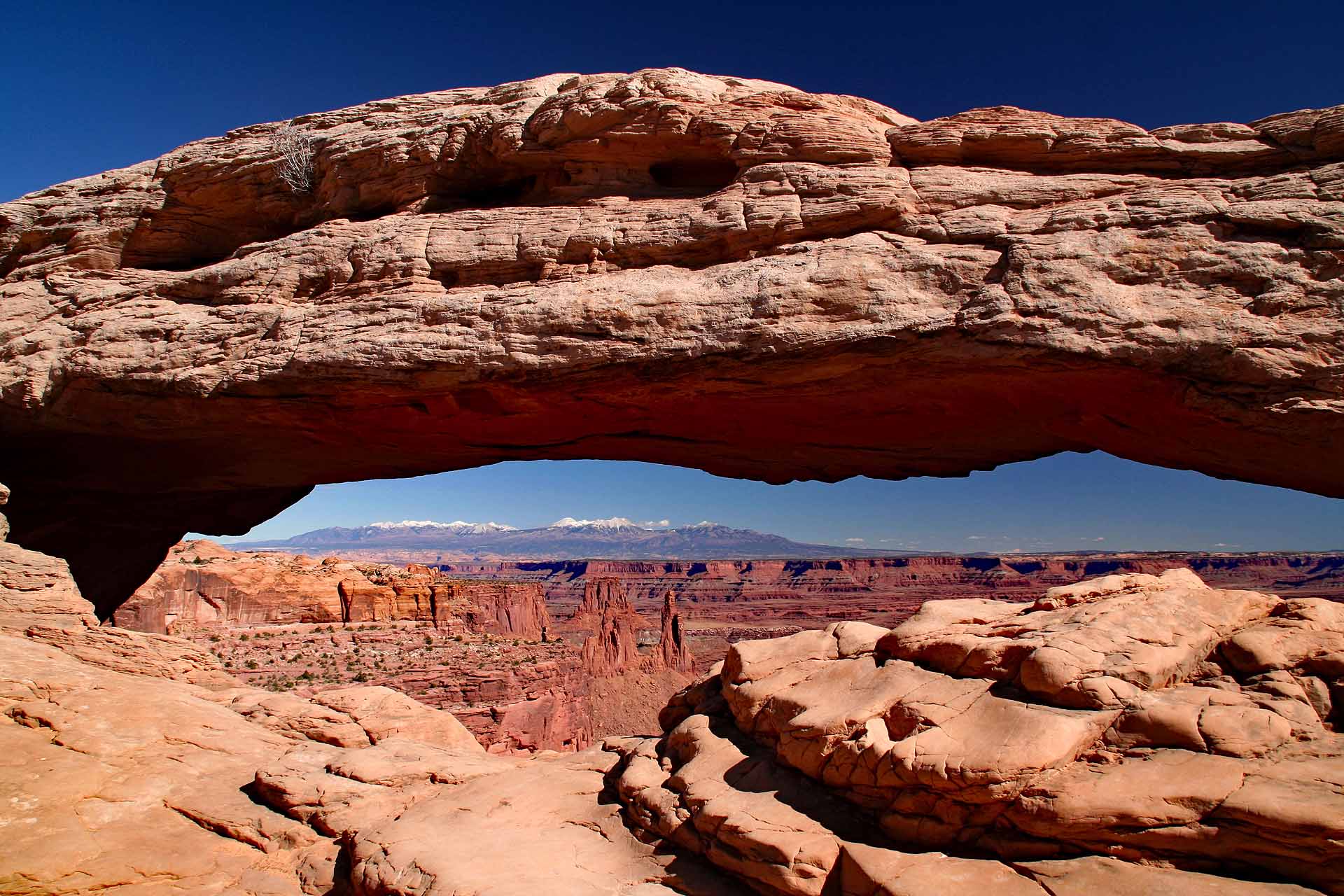 Panorama im Canyonlands Nationalpark, Utah