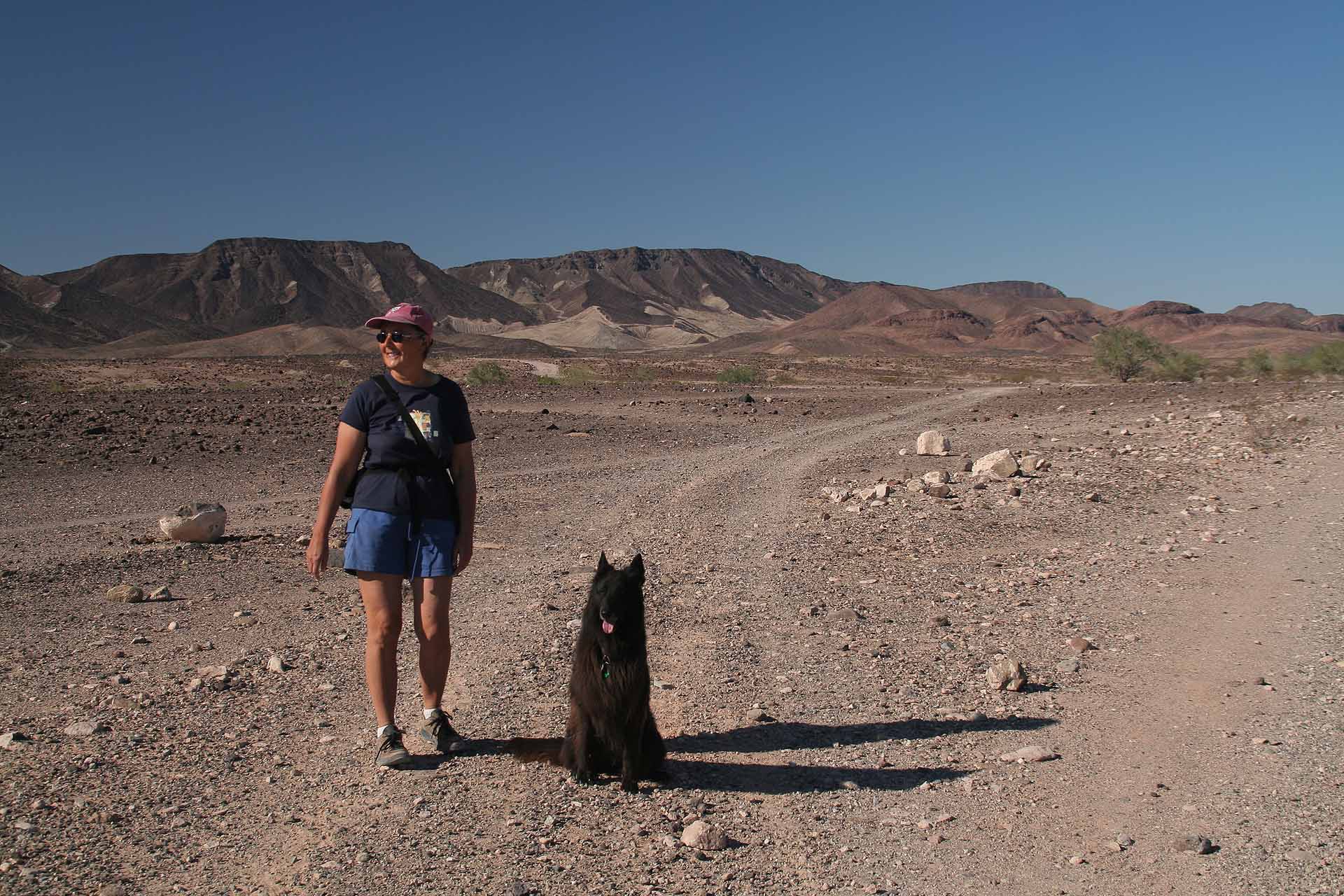 Senator Wash Lake, Winterhaven bei Yua, AZ/CA - Morgendlicher Wüstenwalk