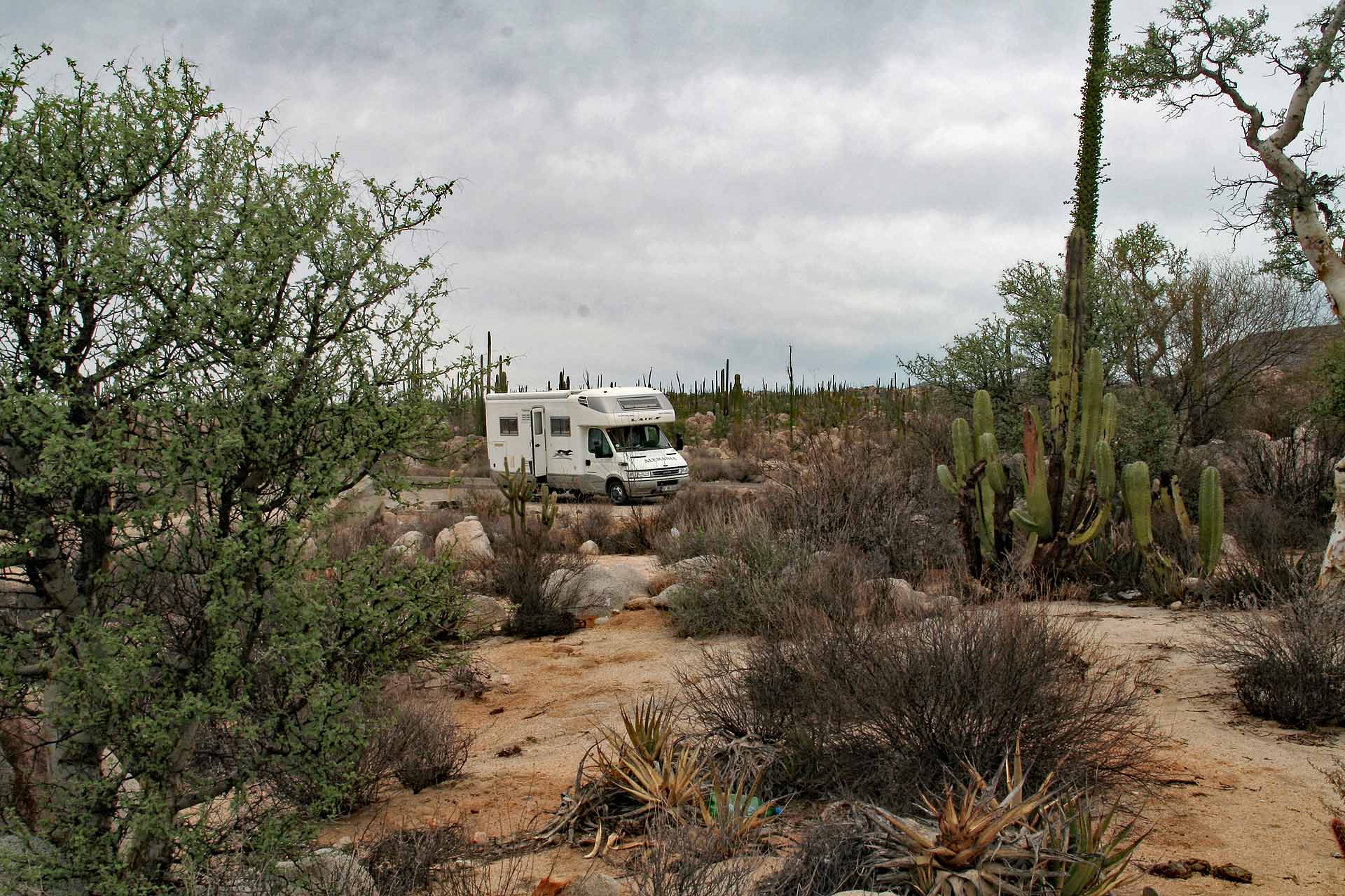 MEX 1 durch die Baja California