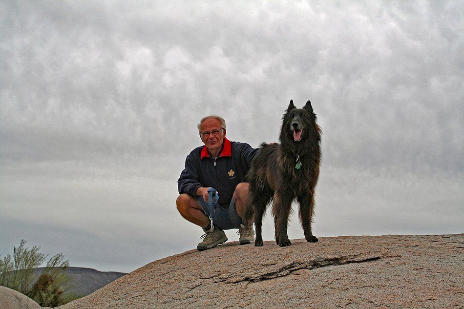 Im Naturschutzgebiet Zentrale Wüste, Baja California, Mexiko Im Naturschutzgebiet Zentrale Wüste, Baja California, Mexiko