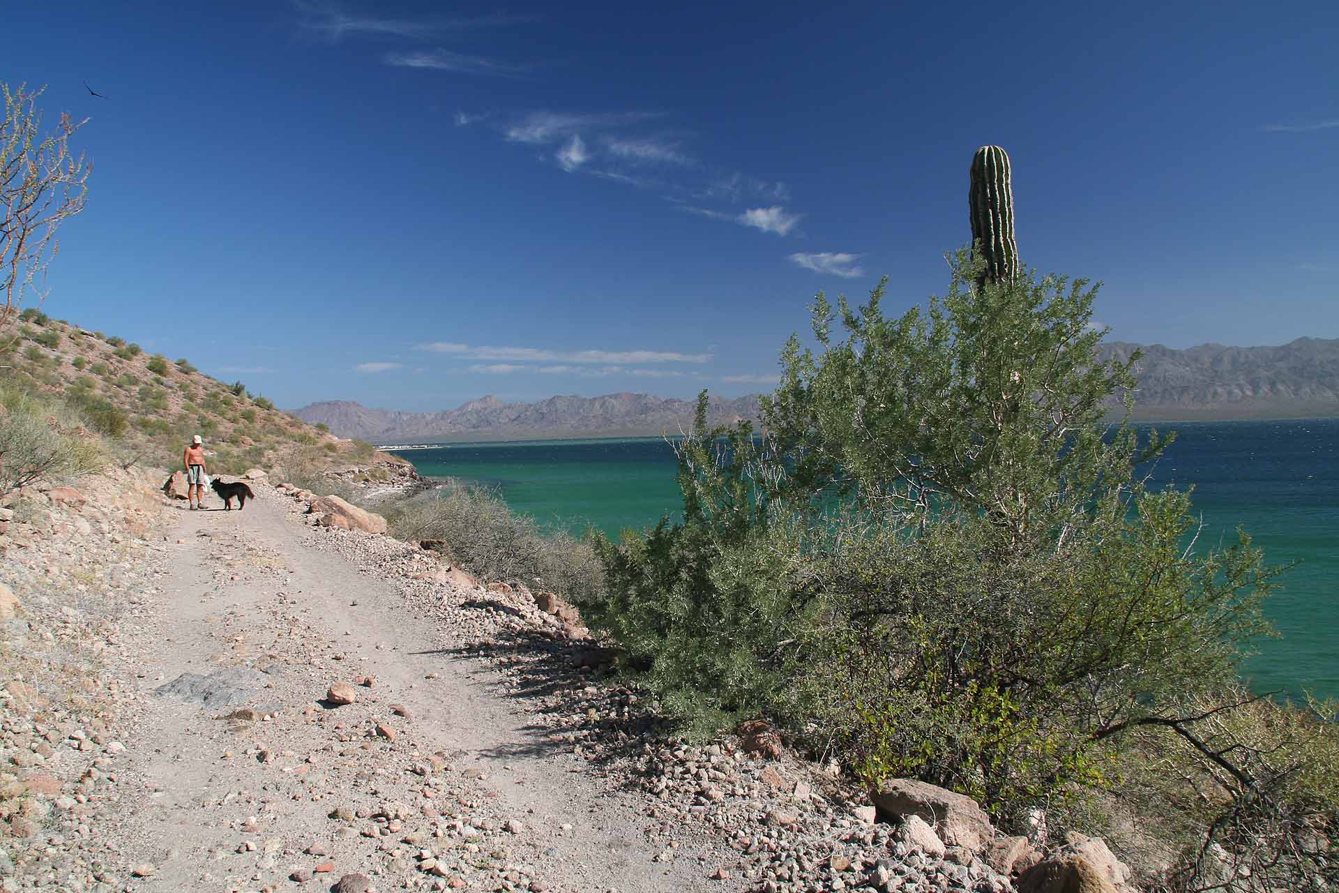 Playa Santispac an der Bahia Conception, Baja Californai - Wüstenparadies