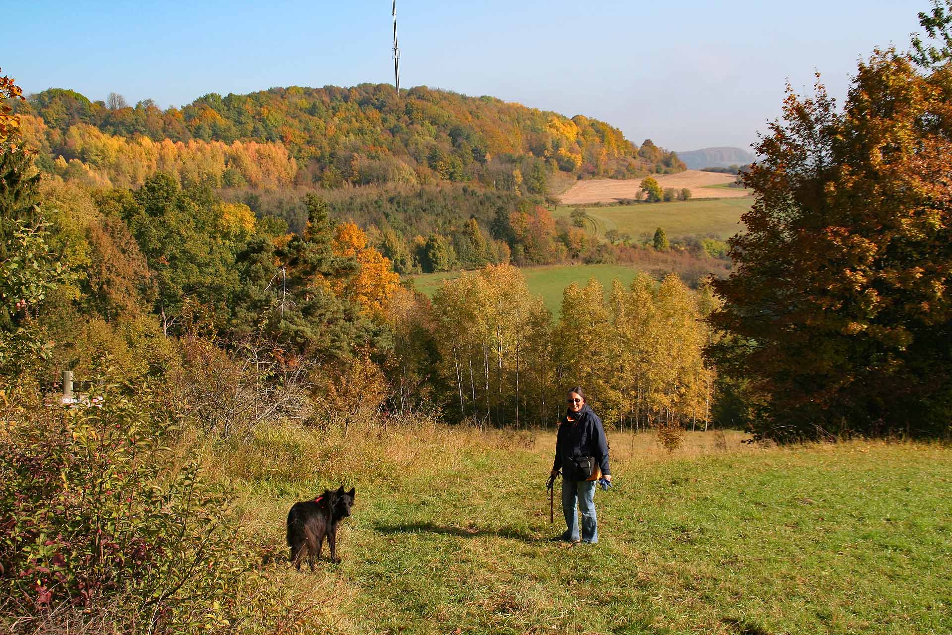 Herbstwanderung bei Obernsees
