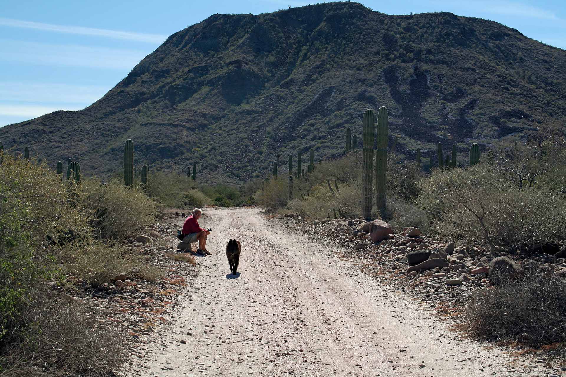 Baja California, Mexiko, Playa el Requesón an der Bahia Concepción - Es gibt genügend Auslauf für den Hund