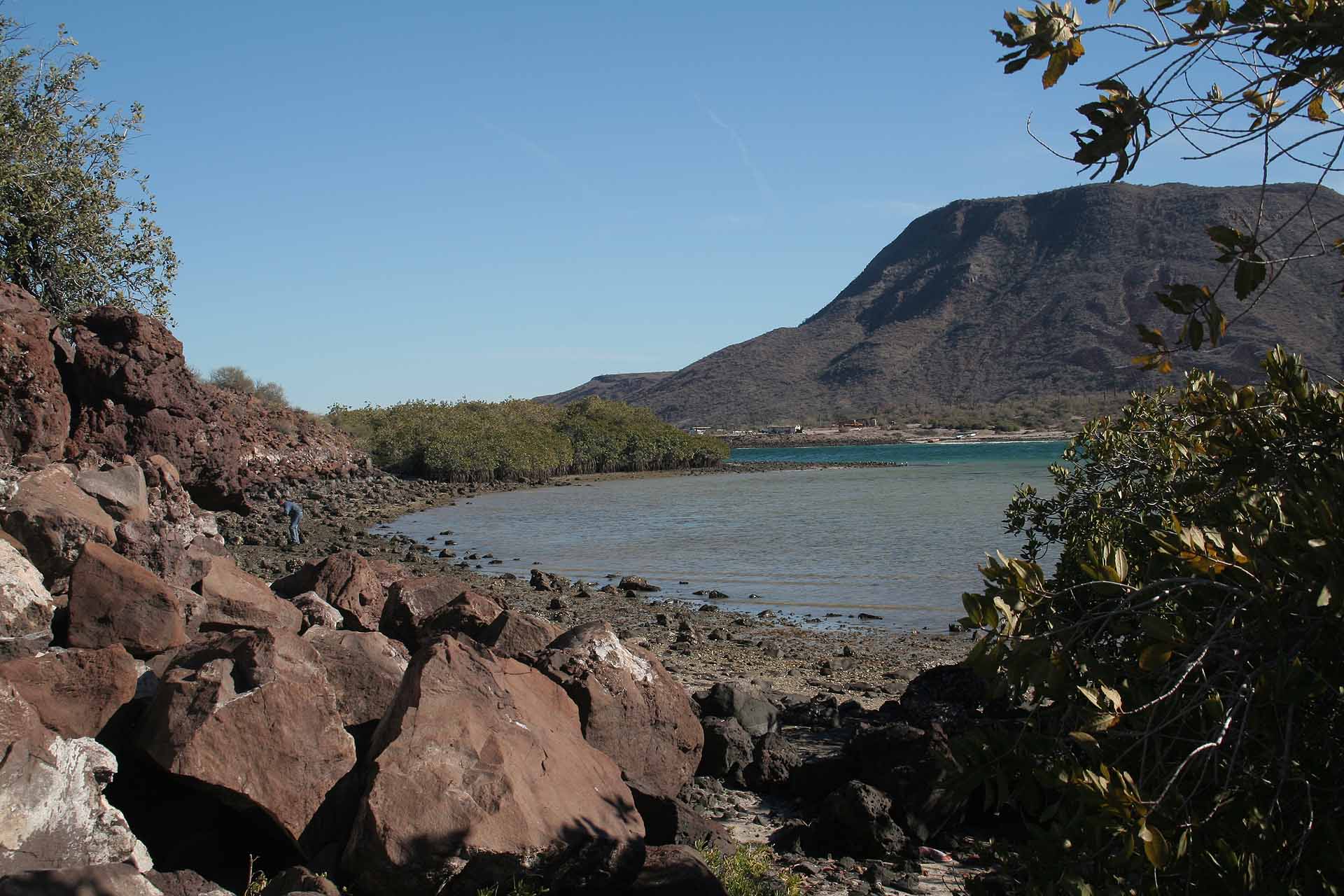 Baja California, Mexiko, Playa el Requesón an der Bahia Concepción
