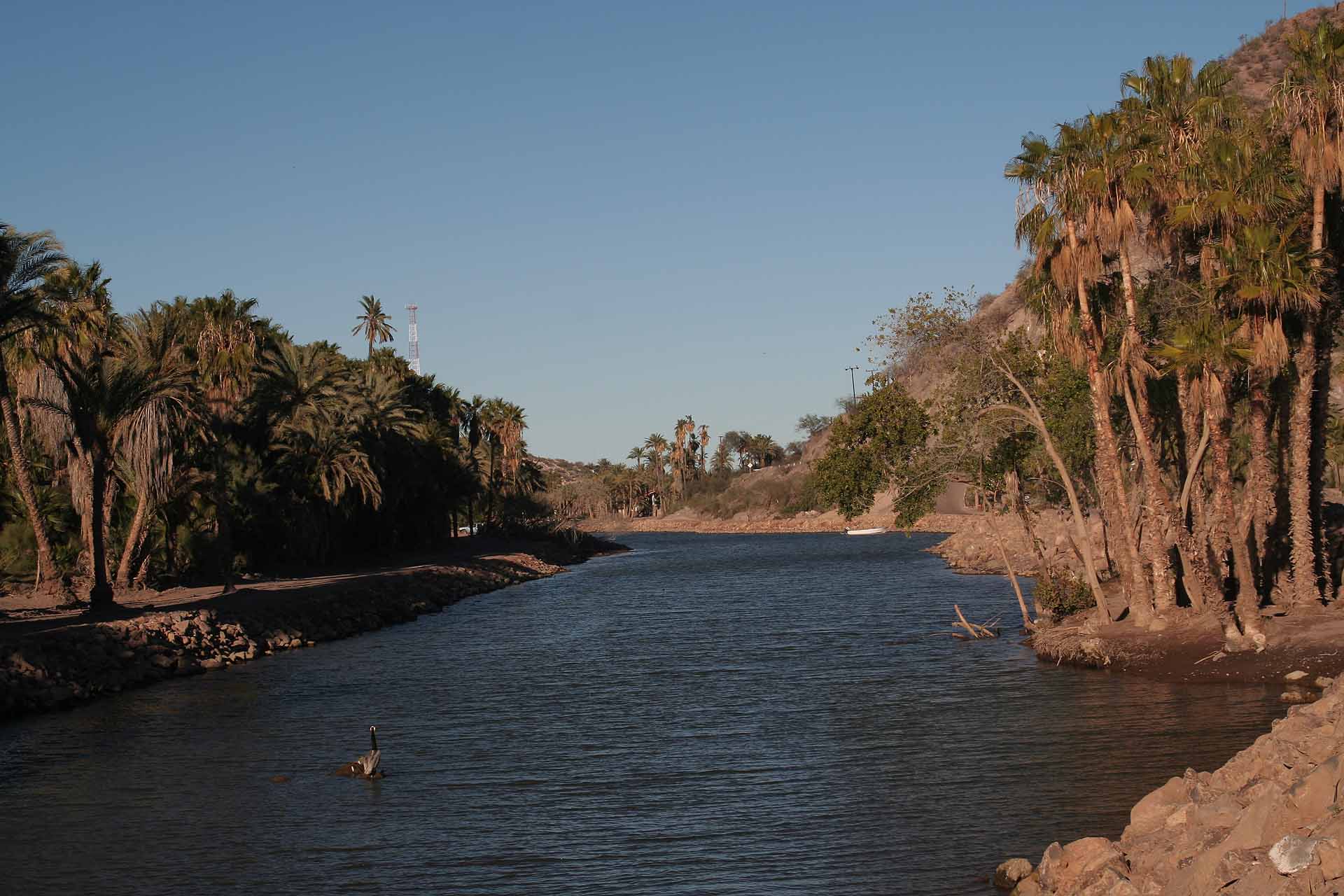 Baja California, Mexiko - Rio Mulegé