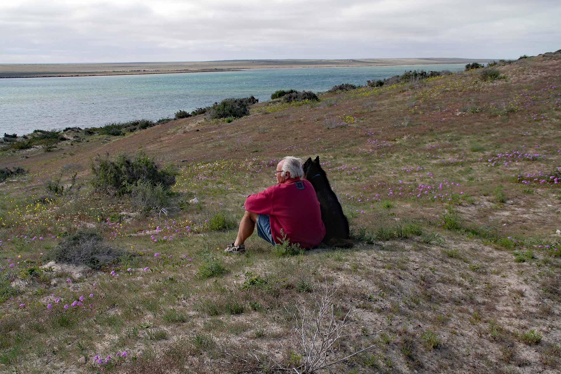 Baja California, Mexiko - Laguna Ojo de Liebre - Hund und Herrchen genießen den Ausblick