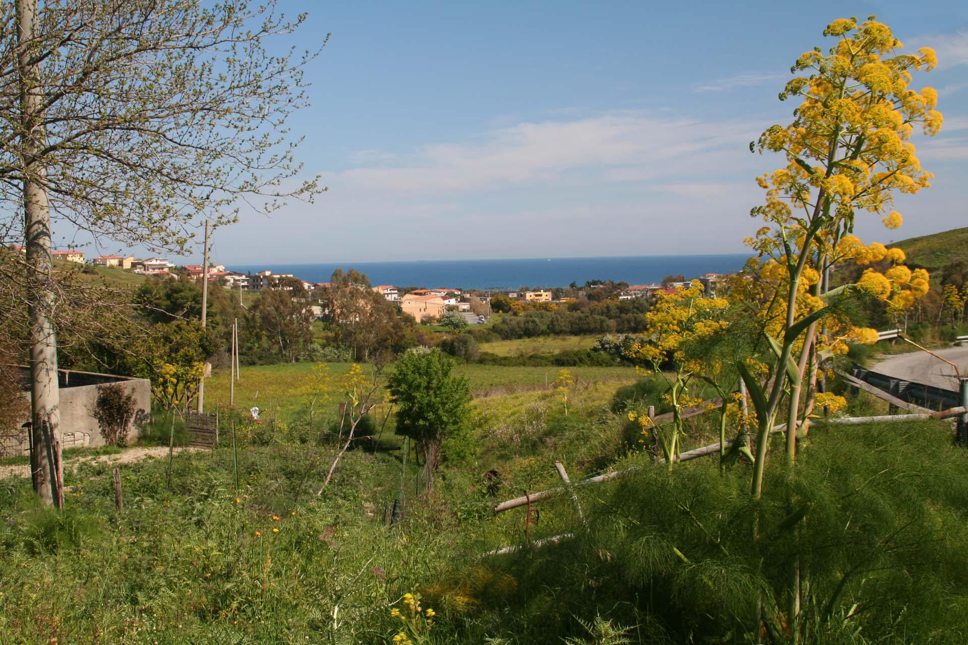 Blick auf Ferruzano