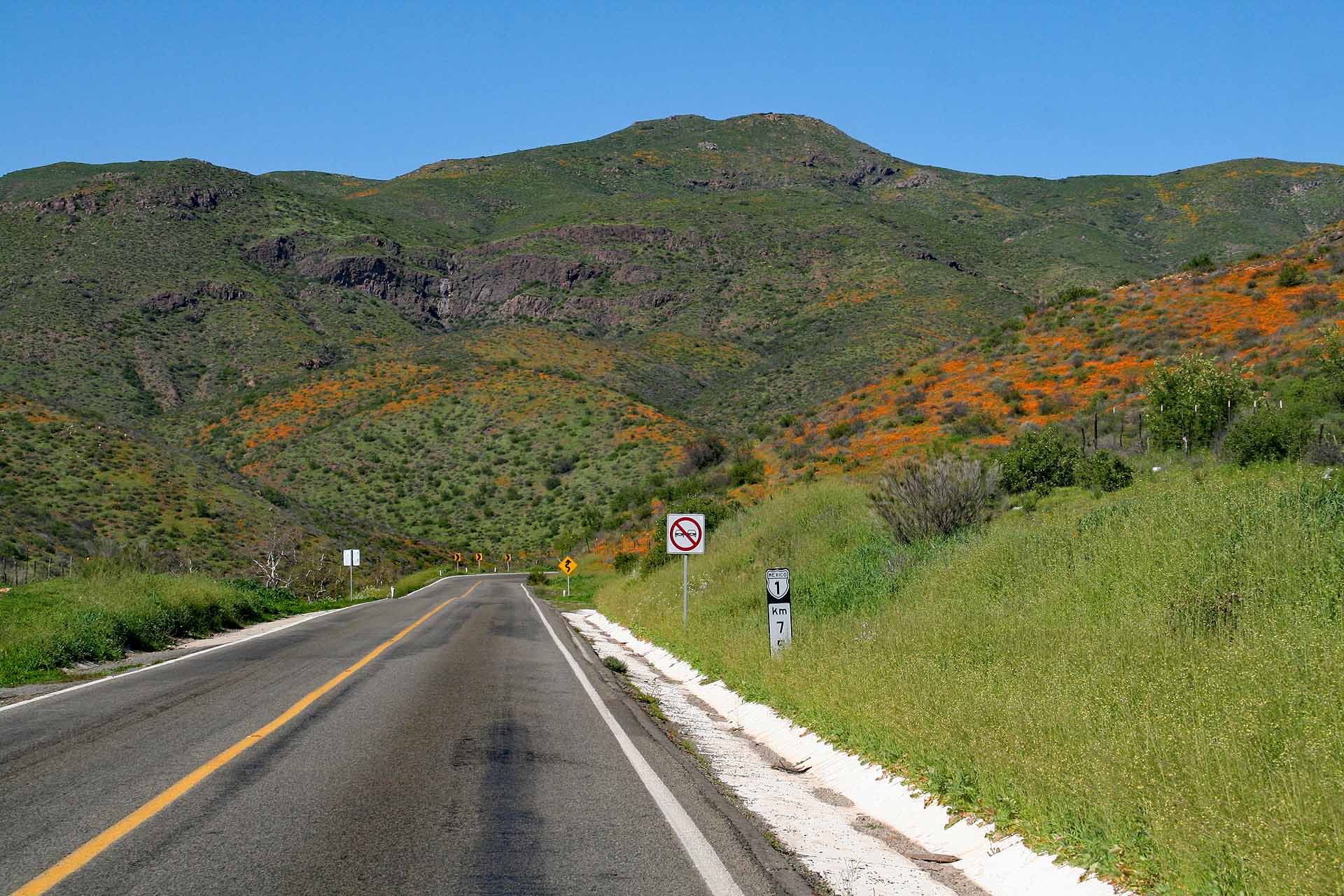 Baja California - Der Winterregen hat den Norden der Baja grün werden lassen.