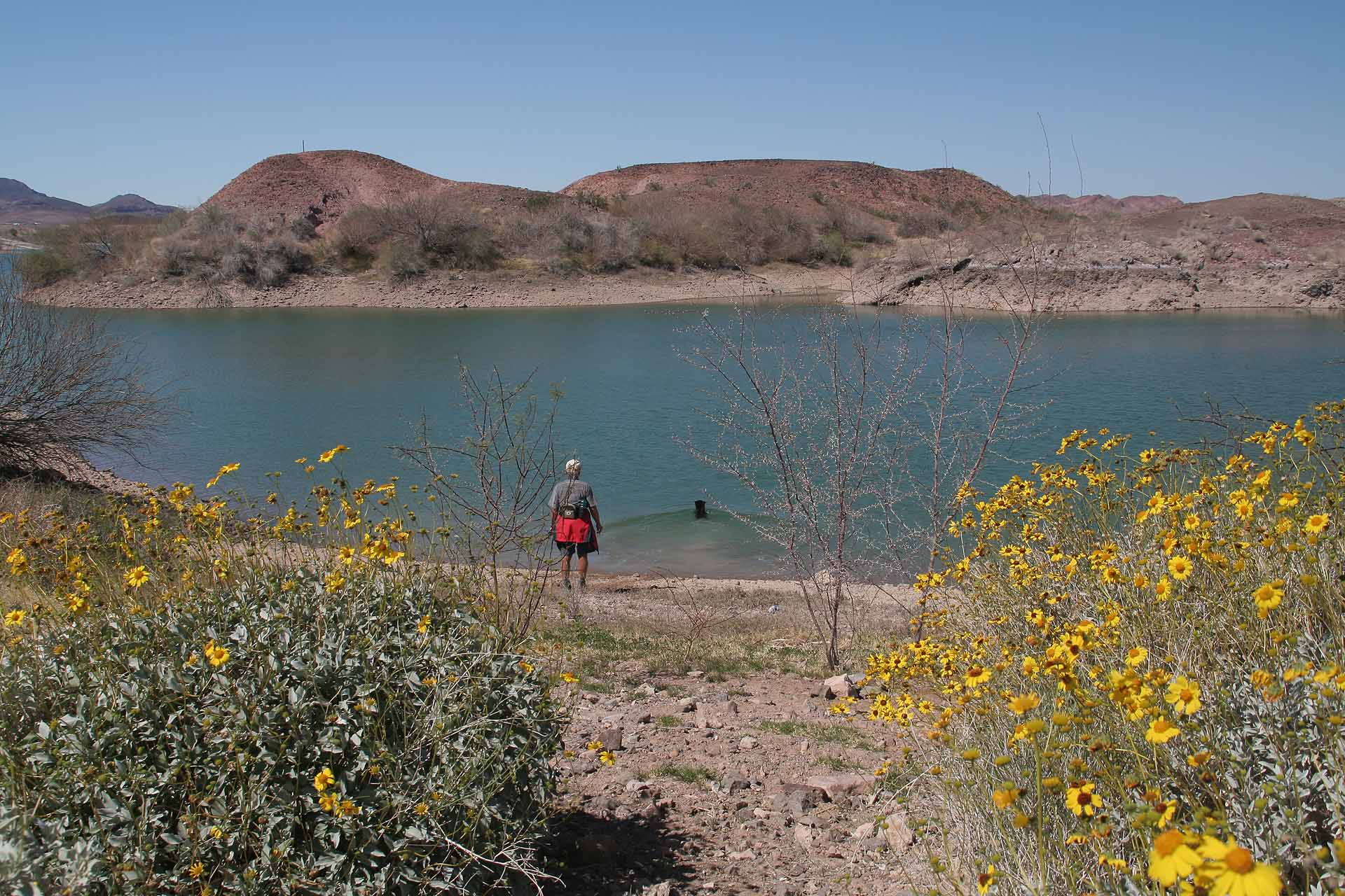 Winterhaven bei Yuma, AZ/CA - Zurück am Senator Wash Lake.