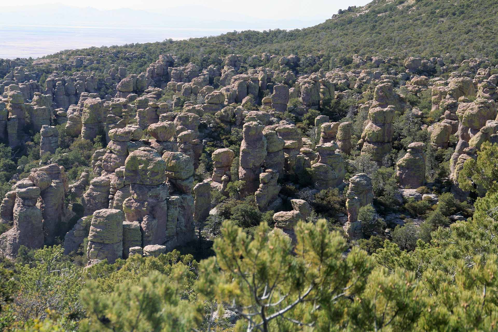 Das Chiricahua National Monument, Arizona -