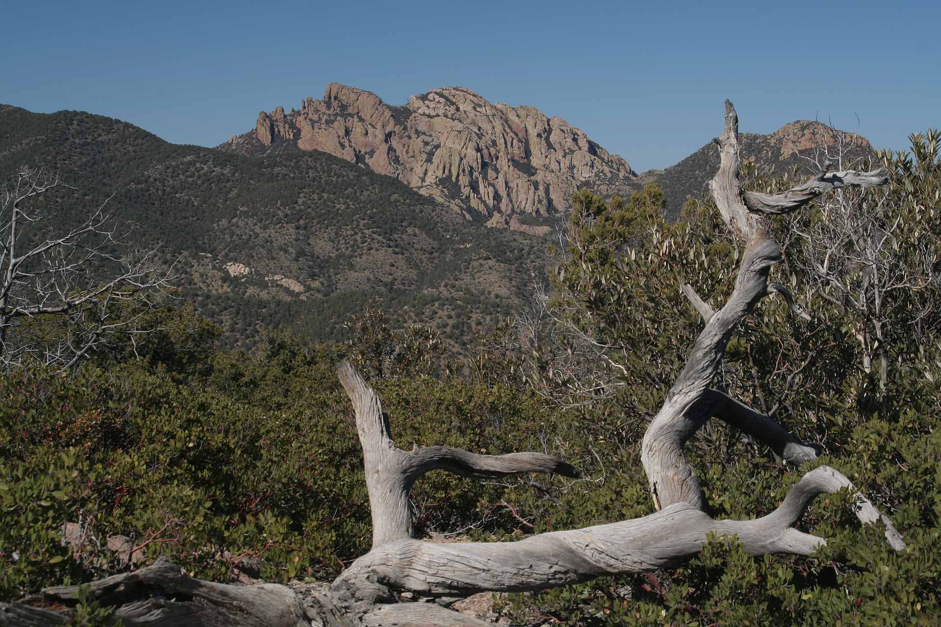 Das Chiricahua National Monument, Arizona -