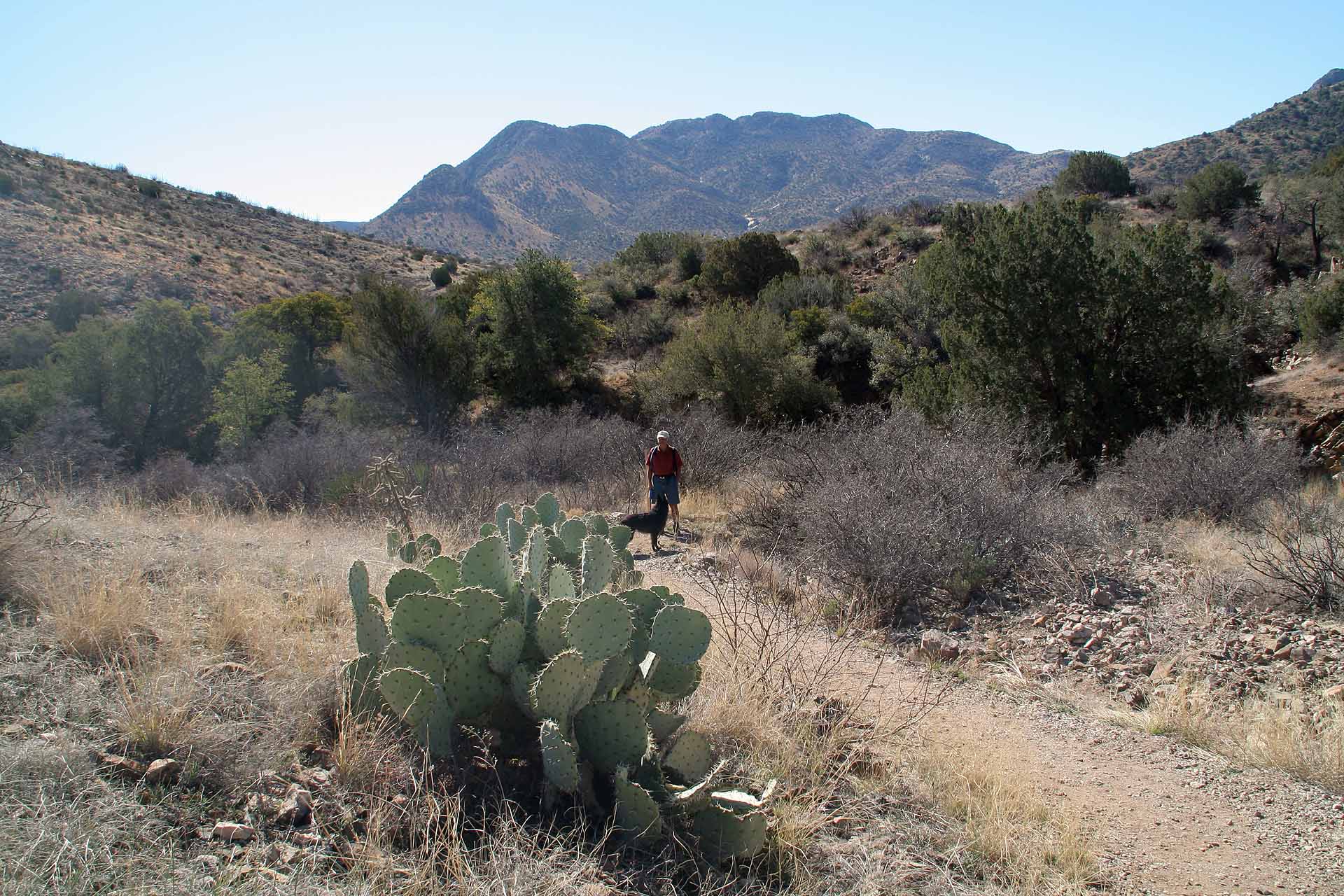 Der Apache Pass, Arizona - Fußweg zum historischen Fort Bowie.