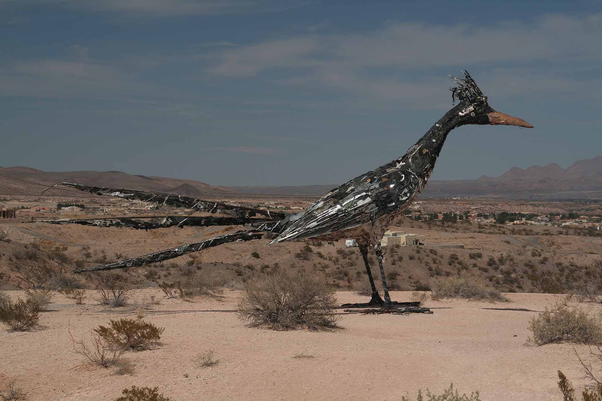 Roadrunner, der Staatsvogel New Mexicos.